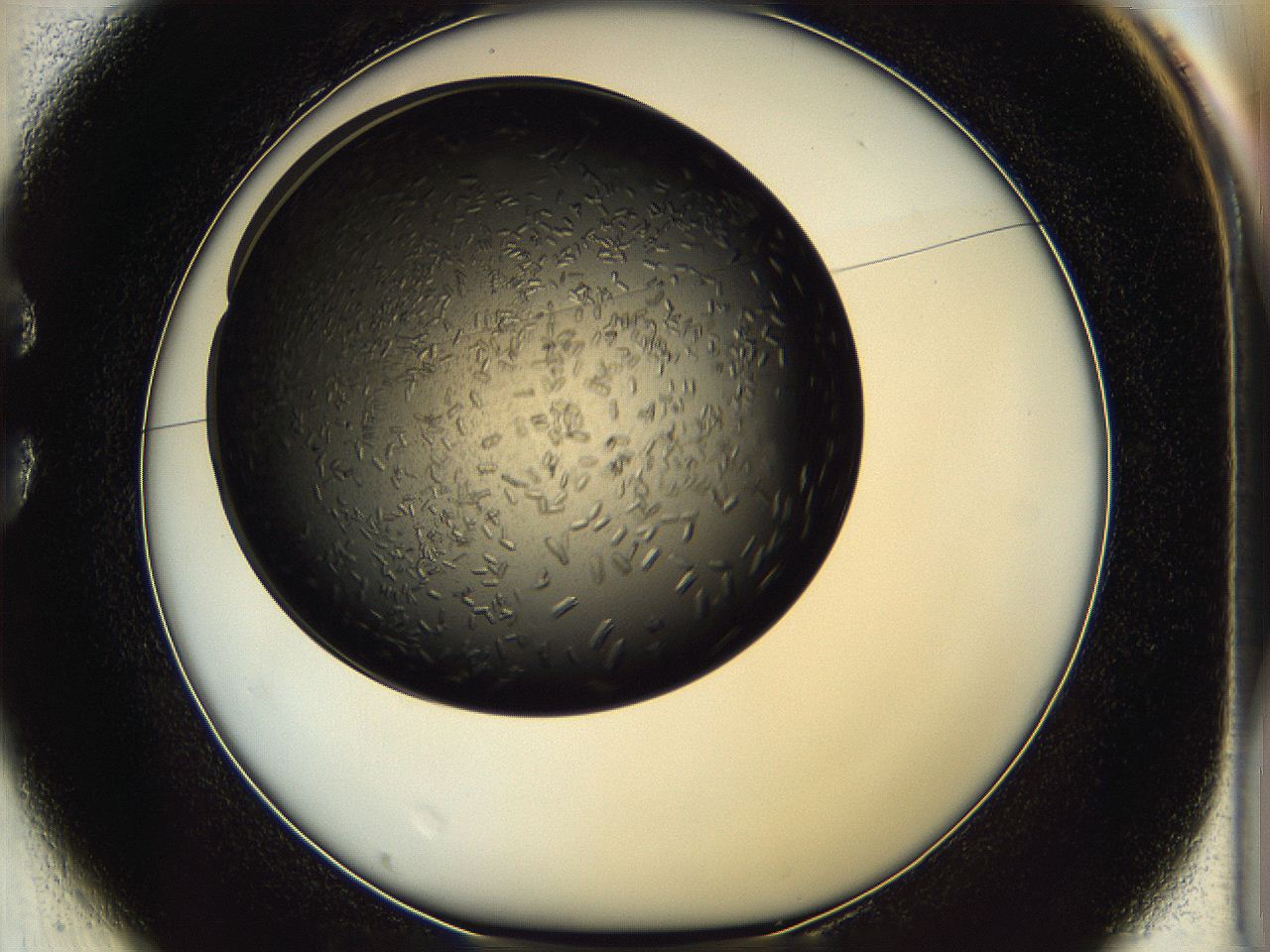 05ip_C1_ImagerDefaults_6.jpg