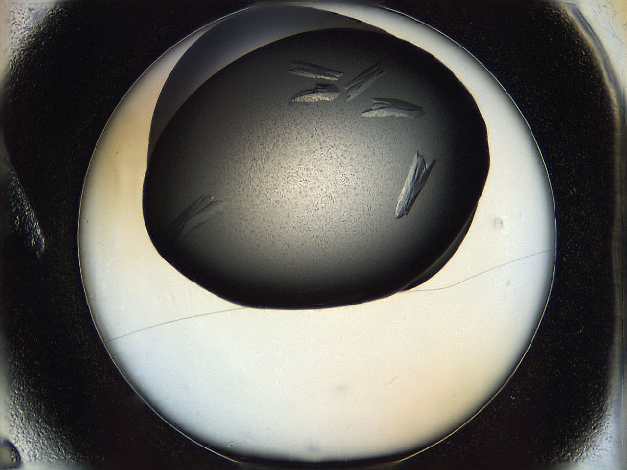 05ip_A6_ImagerDefaults_8.jpg