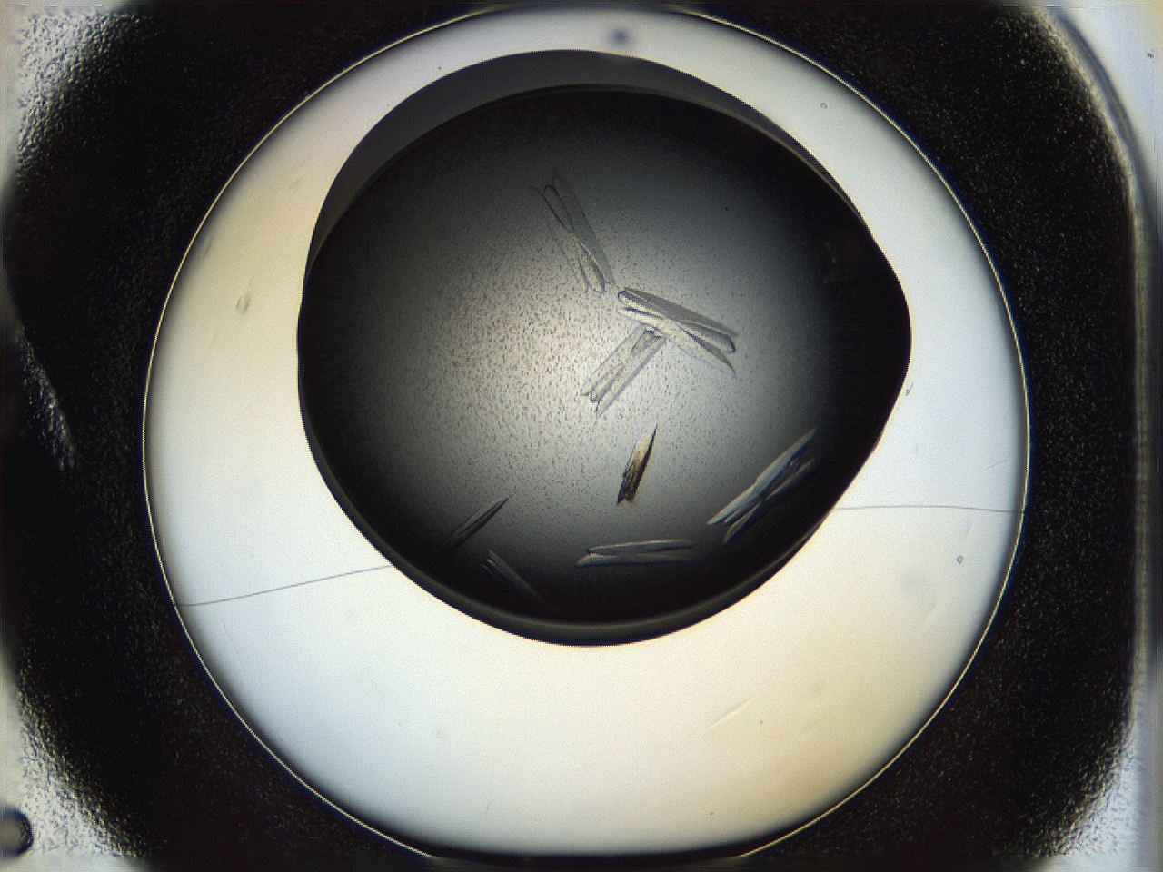 05ip_A5_ImagerDefaults_9.jpg