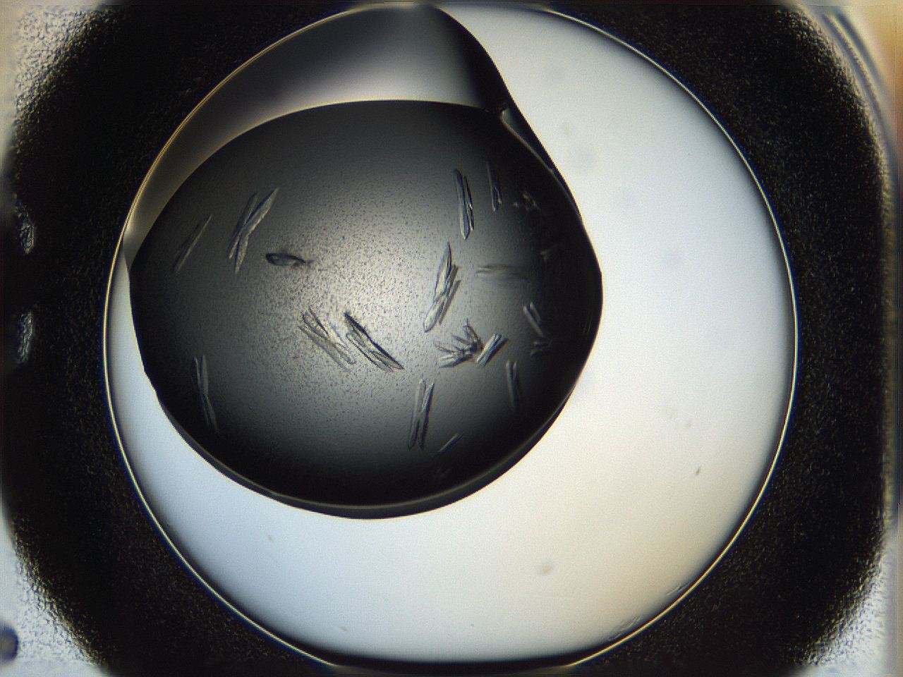 05ip_C5_ImagerDefaults_8.jpg