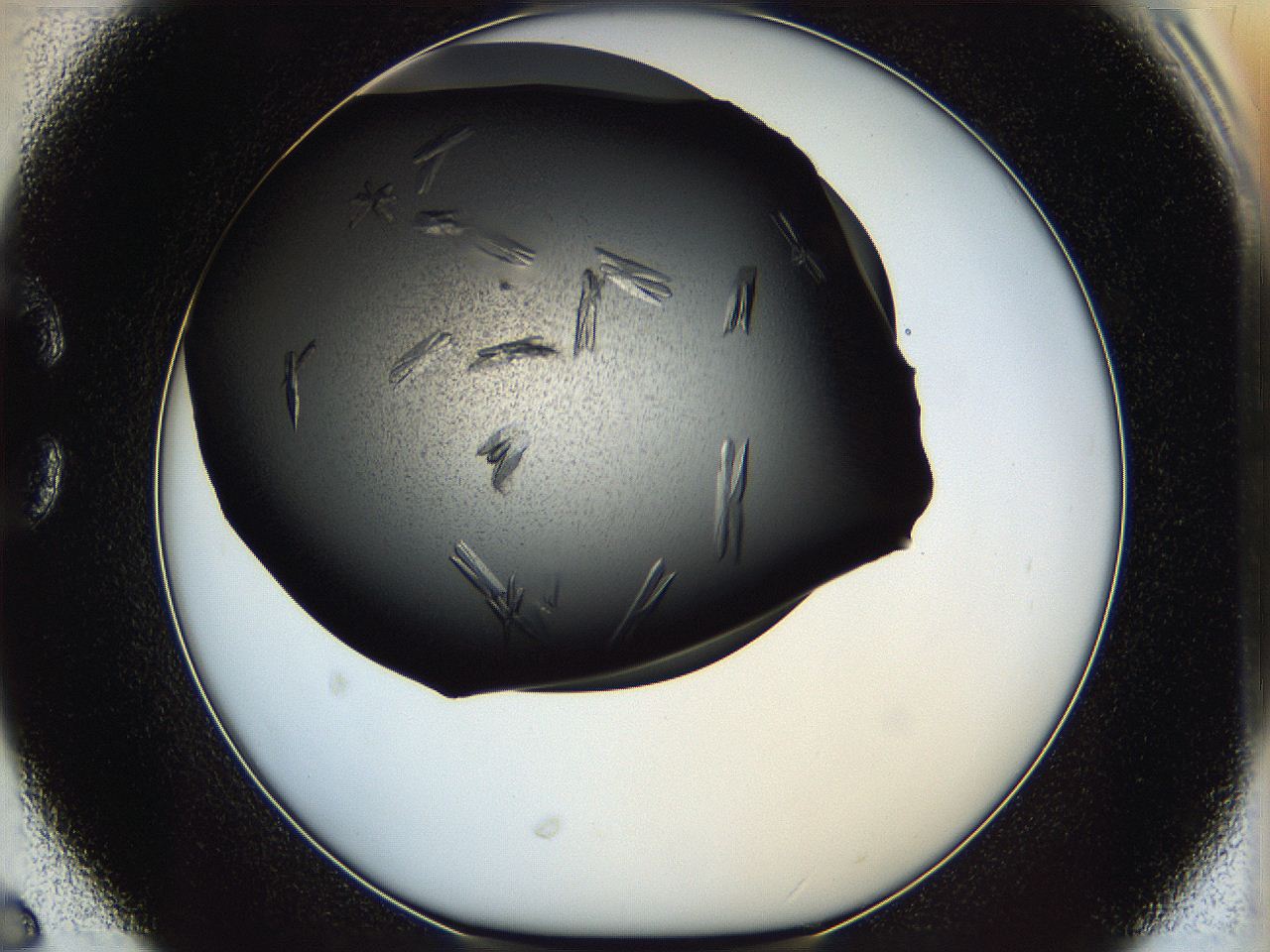 05ip_C6_ImagerDefaults_8.jpg