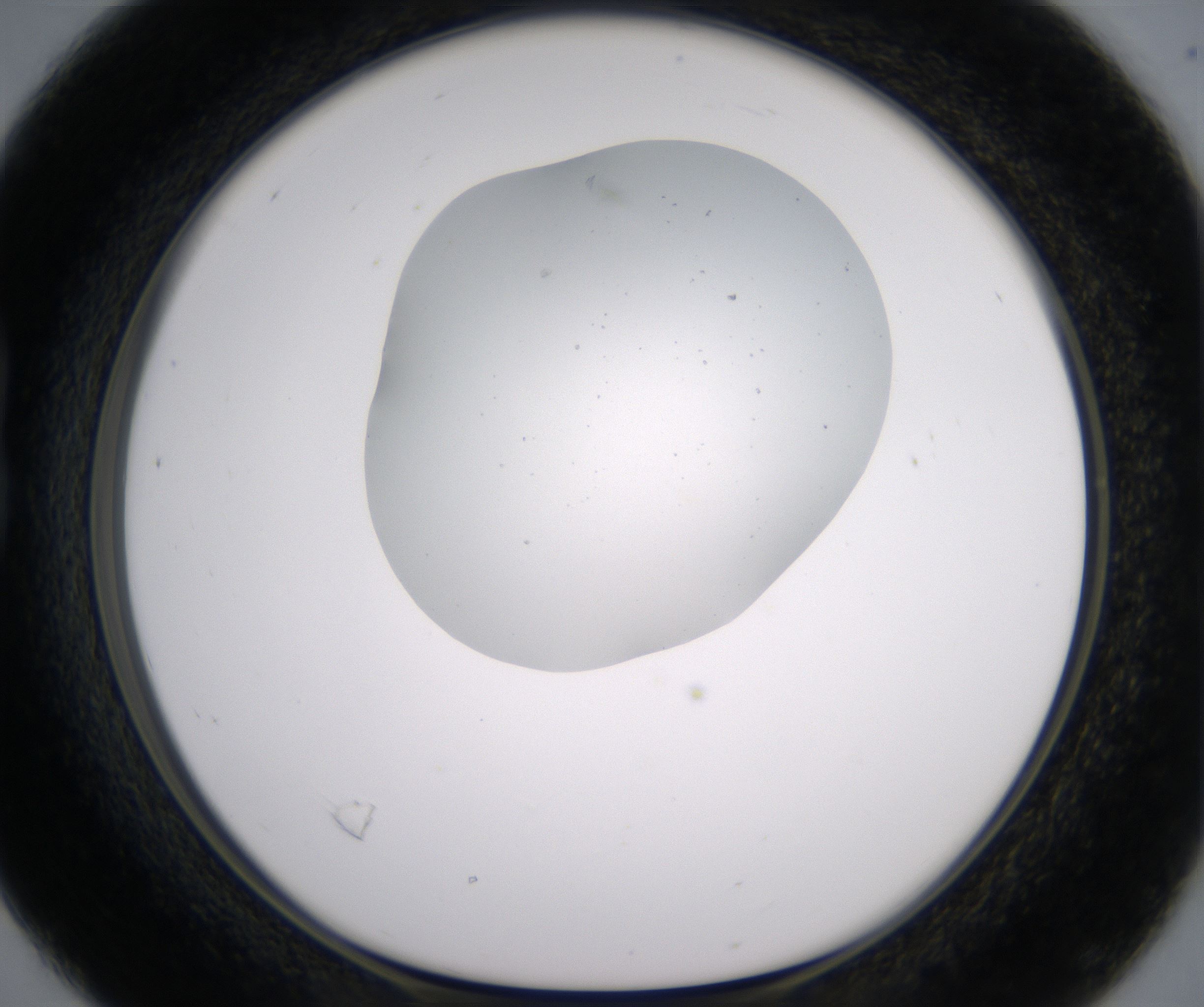 B4_HighResolution_Precipitate_1.jpg