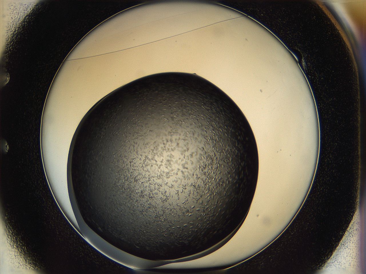 05ip_E1_ImagerDefaults_6.jpg
