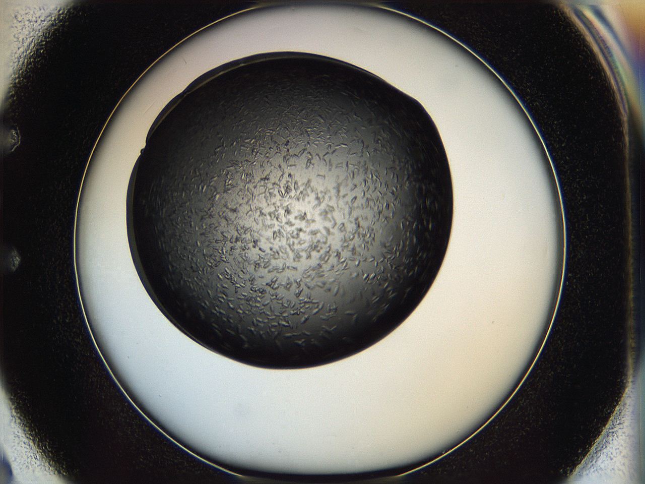 05ip_E2_ImagerDefaults_6.jpg