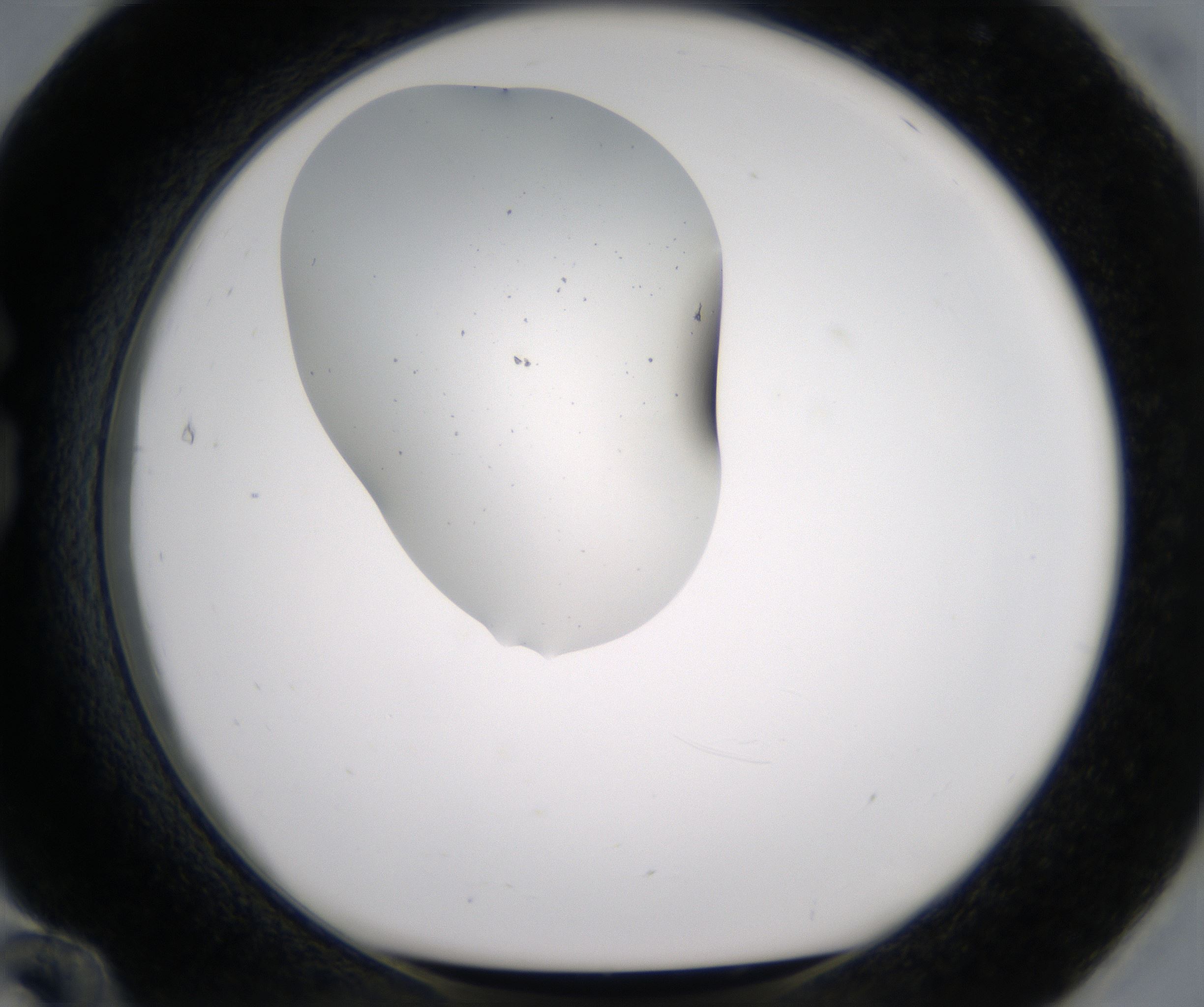 G12_HighResolution_Precipitate_1.jpg