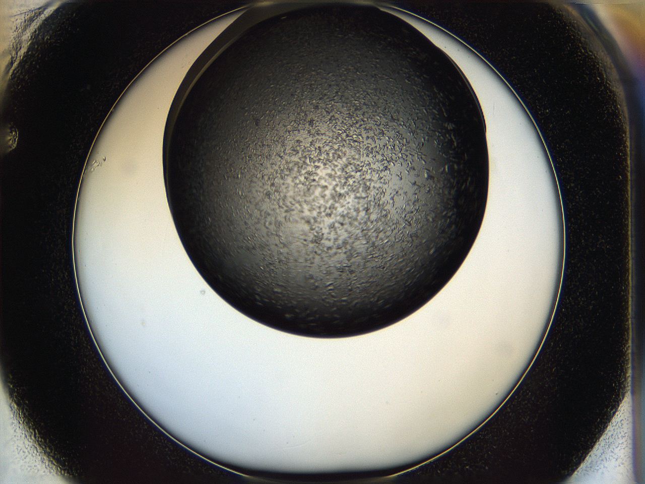 05ip_F1_ImagerDefaults_6.jpg