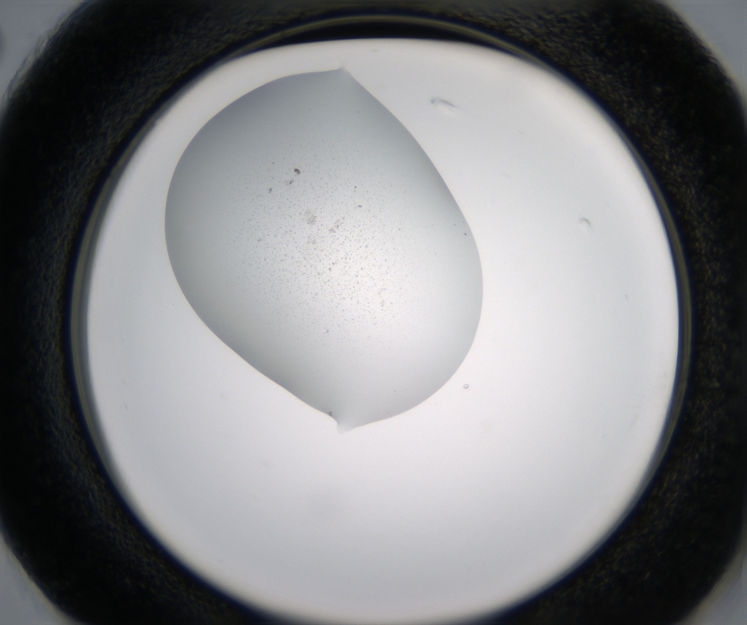G2_HighResolution_Precipitate_2.jpg