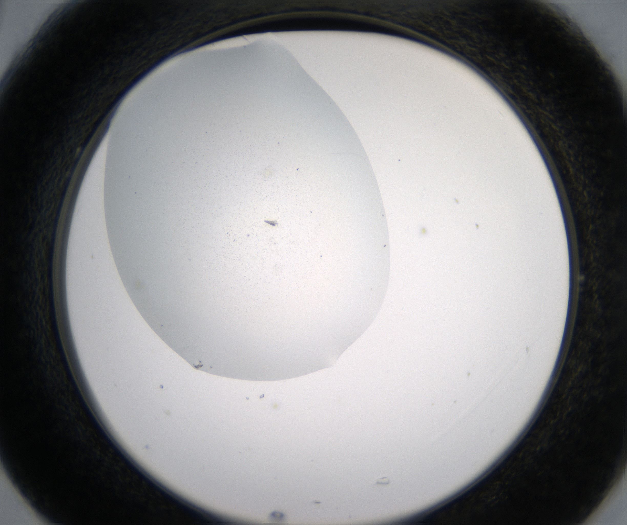 G5_HighResolution_Precipitate_2.jpg