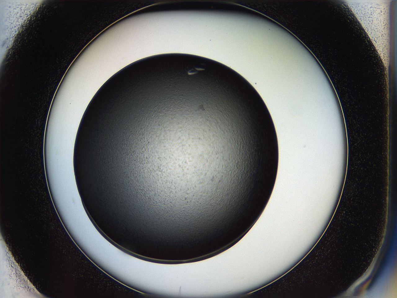 05ip_F1_ImagerDefaults_8.jpg