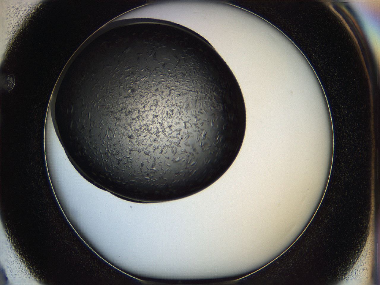 05ip_F3_ImagerDefaults_6.jpg