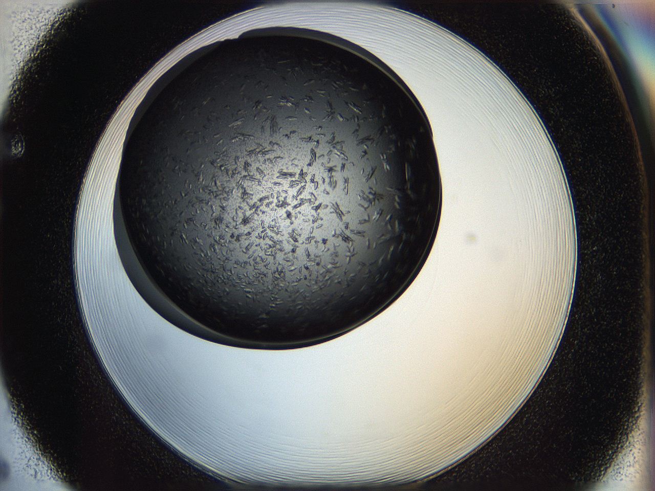05ip_F5_ImagerDefaults_6.jpg
