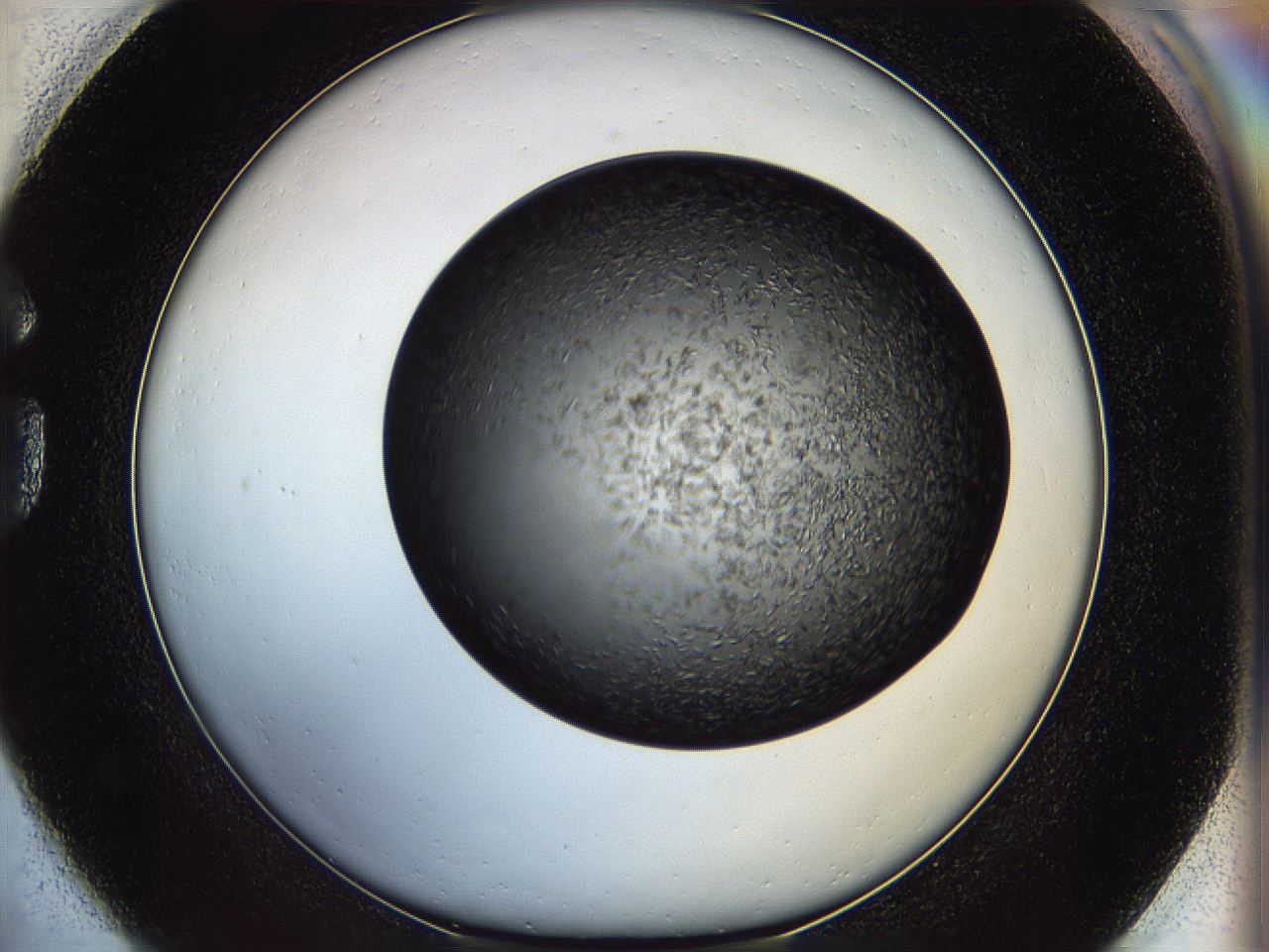 05ip_G1_ImagerDefaults_6.jpg