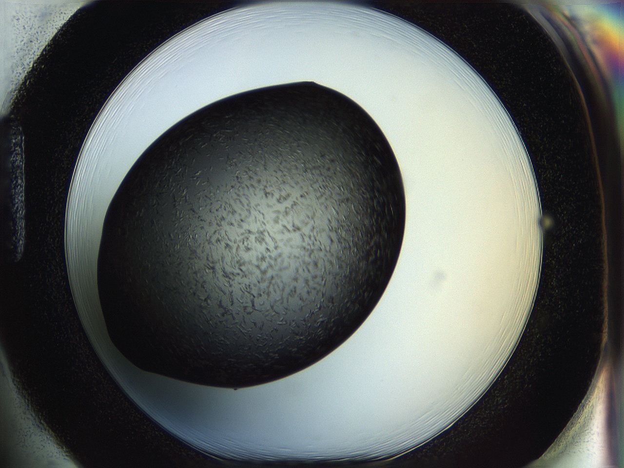 05ip_H1_ImagerDefaults_6.jpg