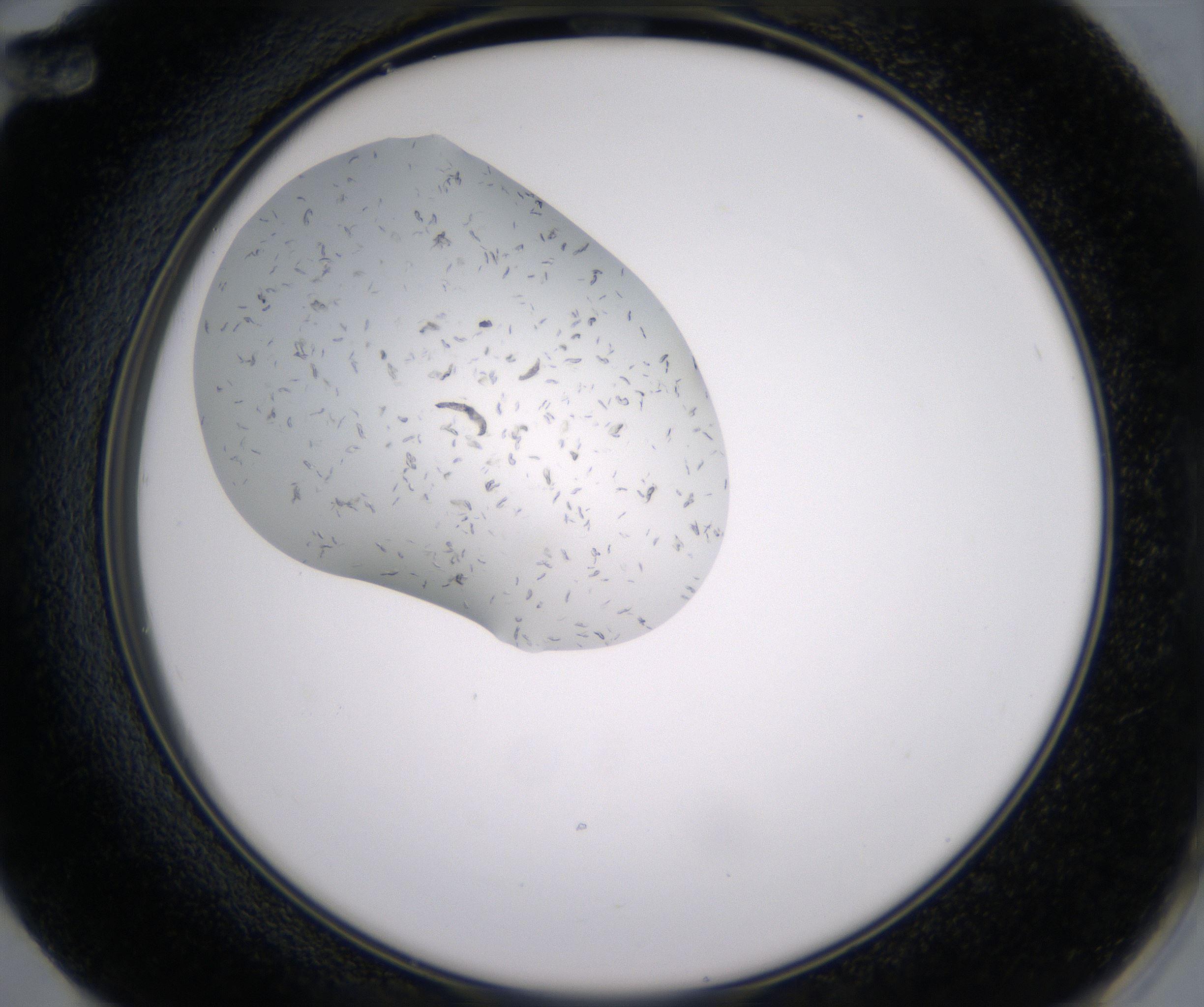 F12_HighResolution_Crystal_2.jpg