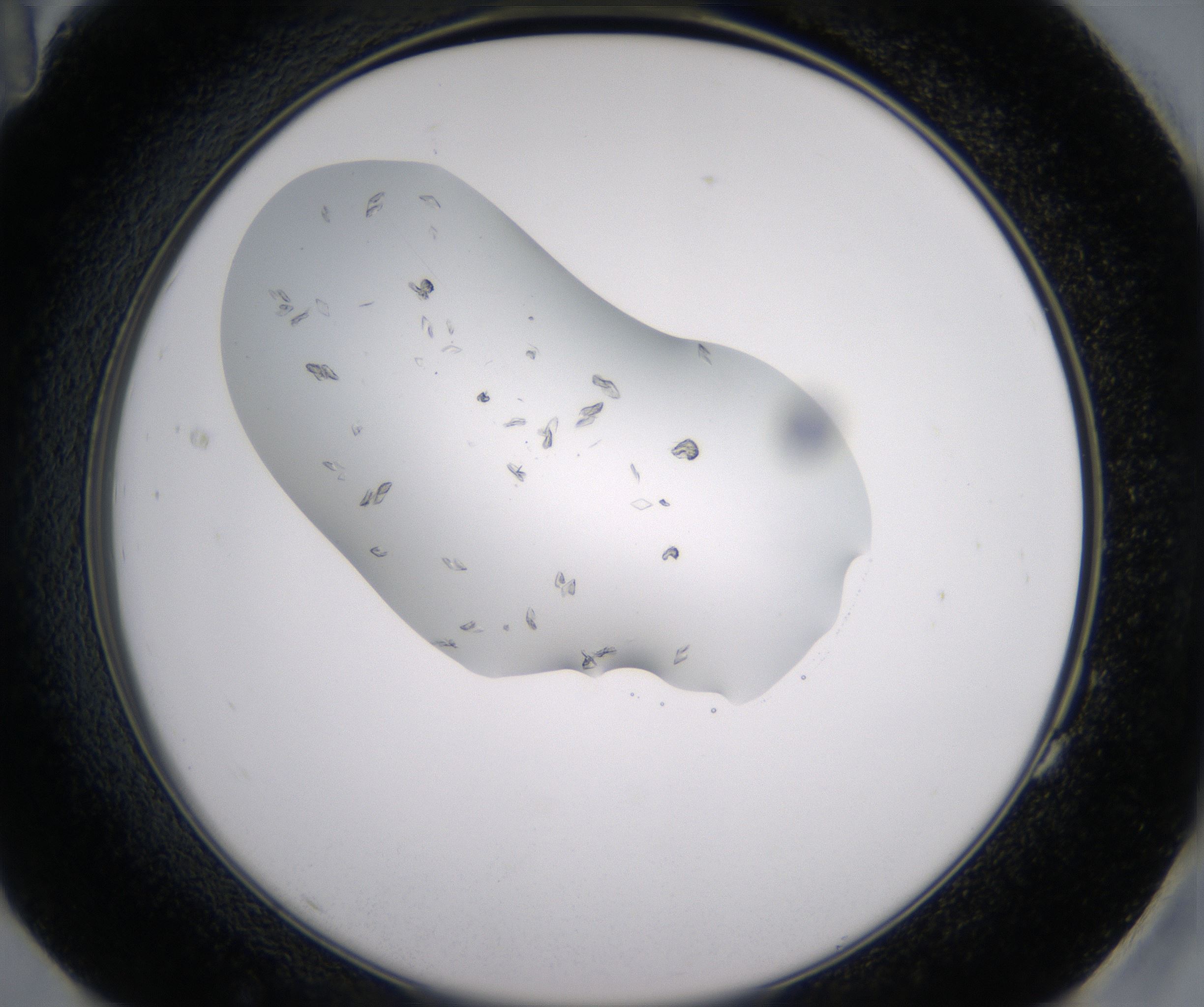 G11_HighResolution_Crystal_2.jpg