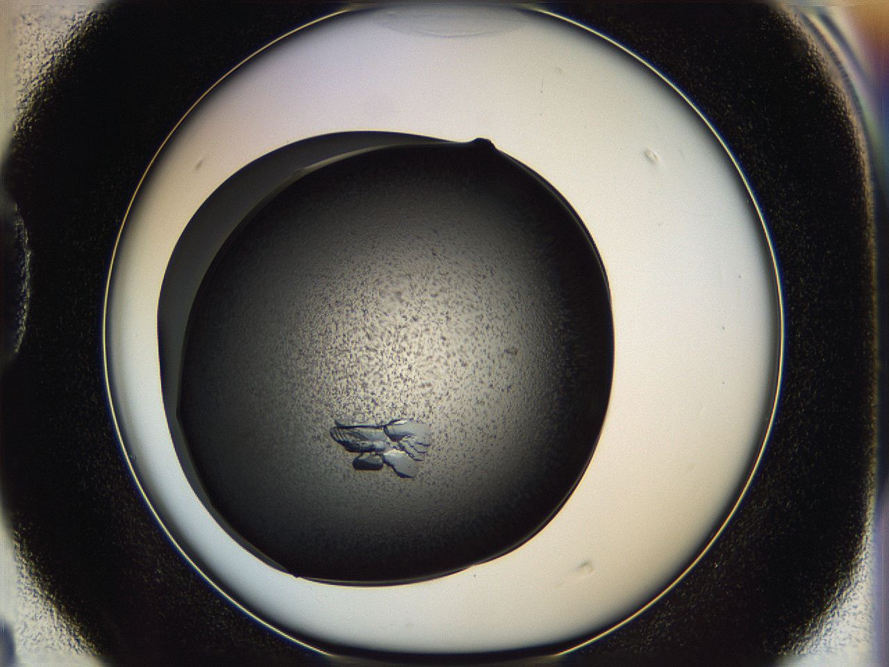 05iq_D4_ImagerDefaults_9.jpg