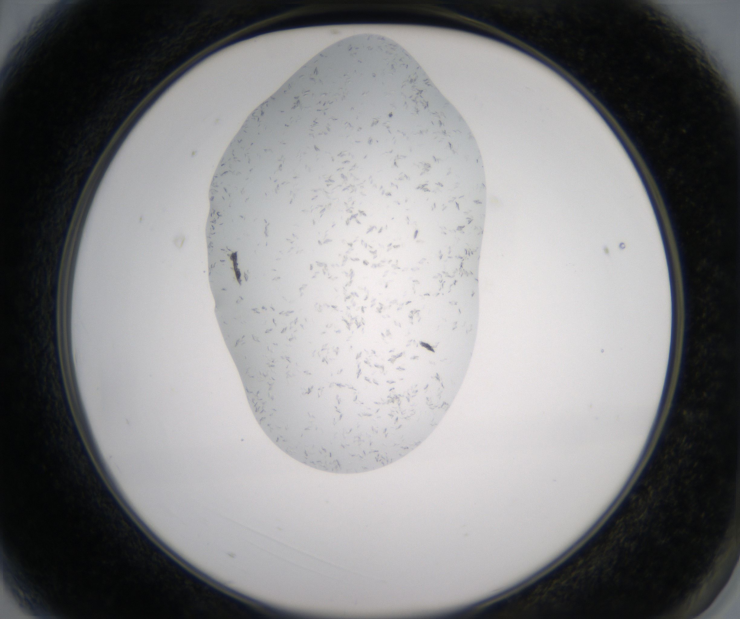 A3_HighResolution_Crystal_2.jpg