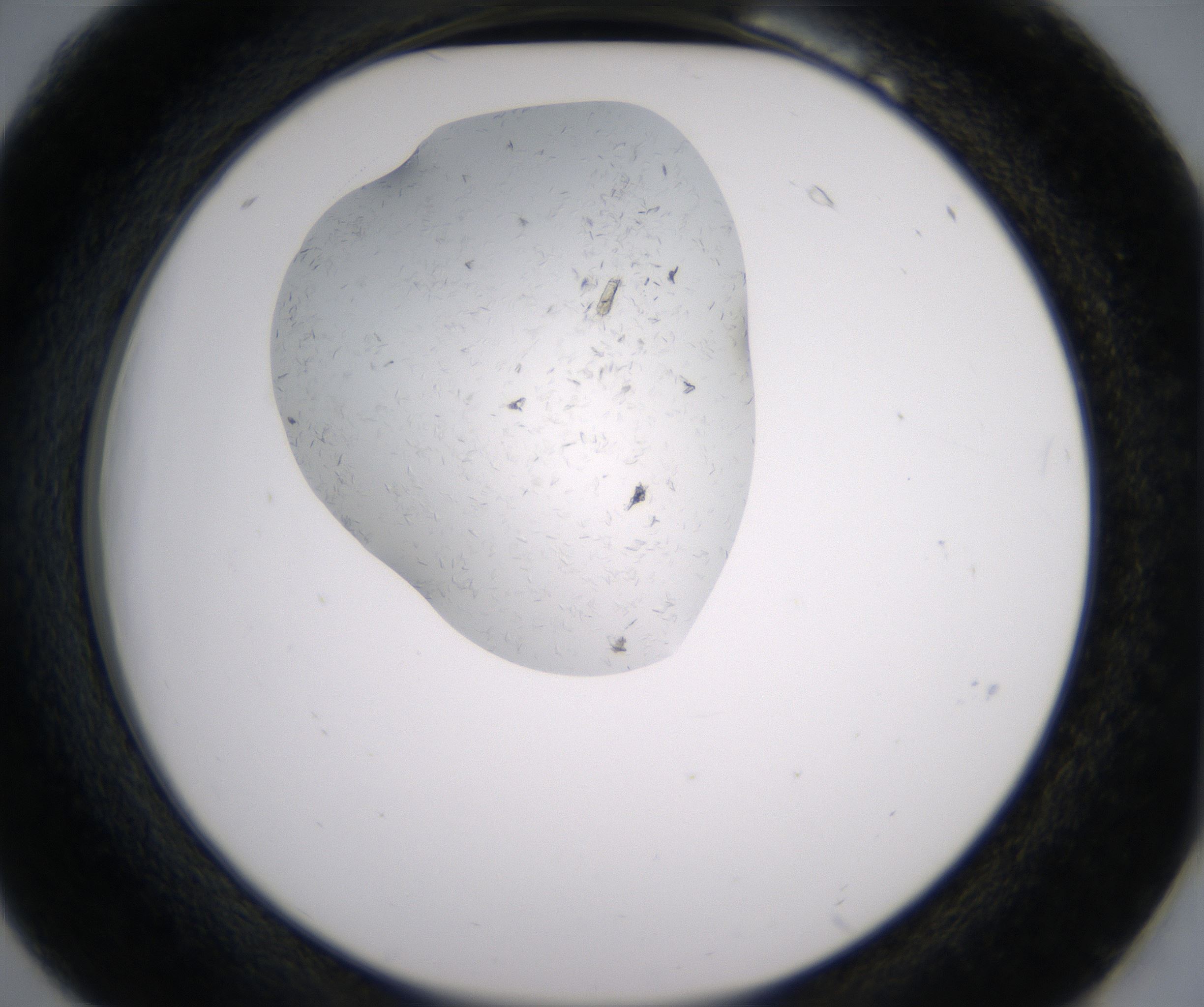 B6_HighResolution_Crystal_2.jpg