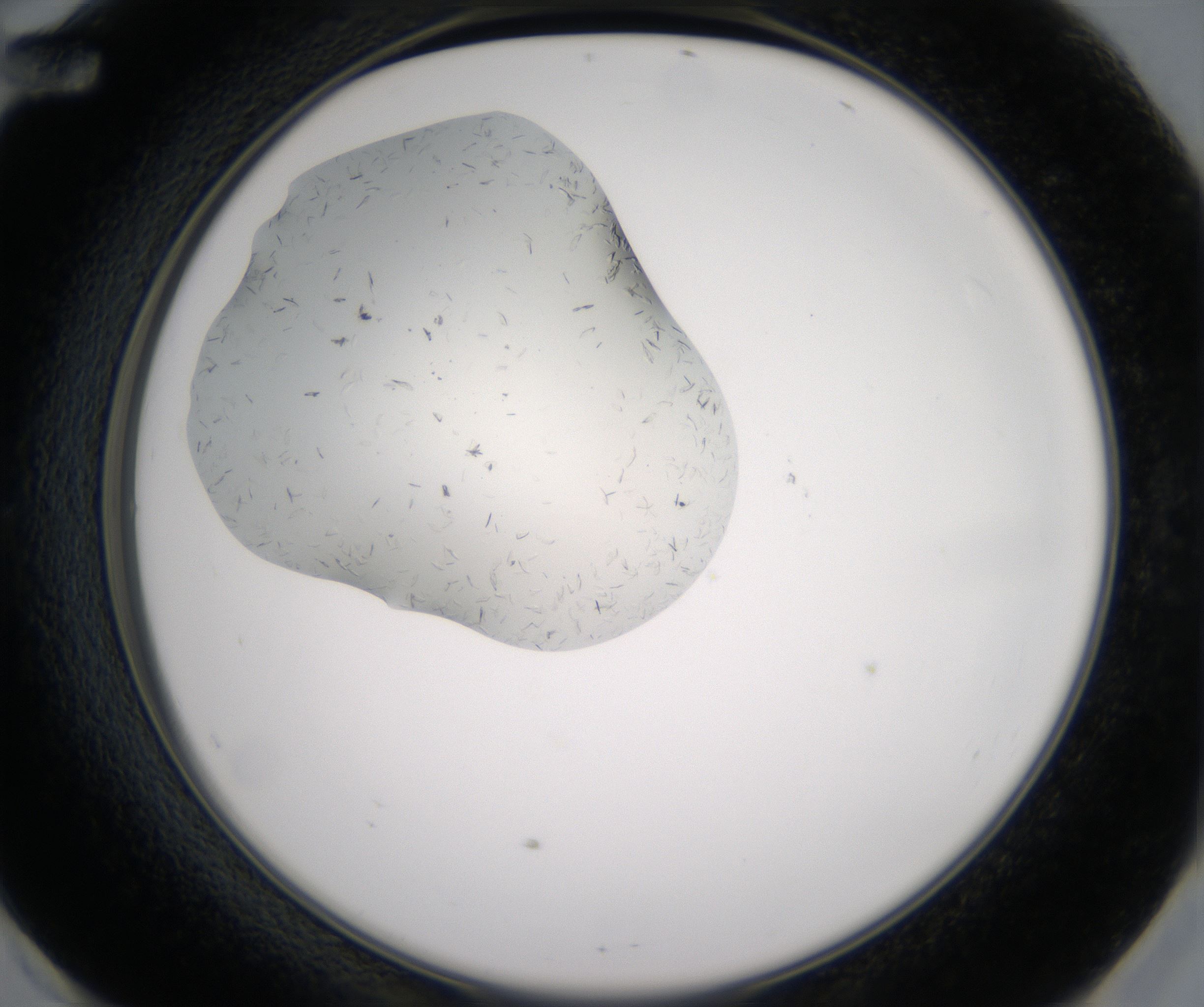 E12_HighResolution_Crystal_2.jpg