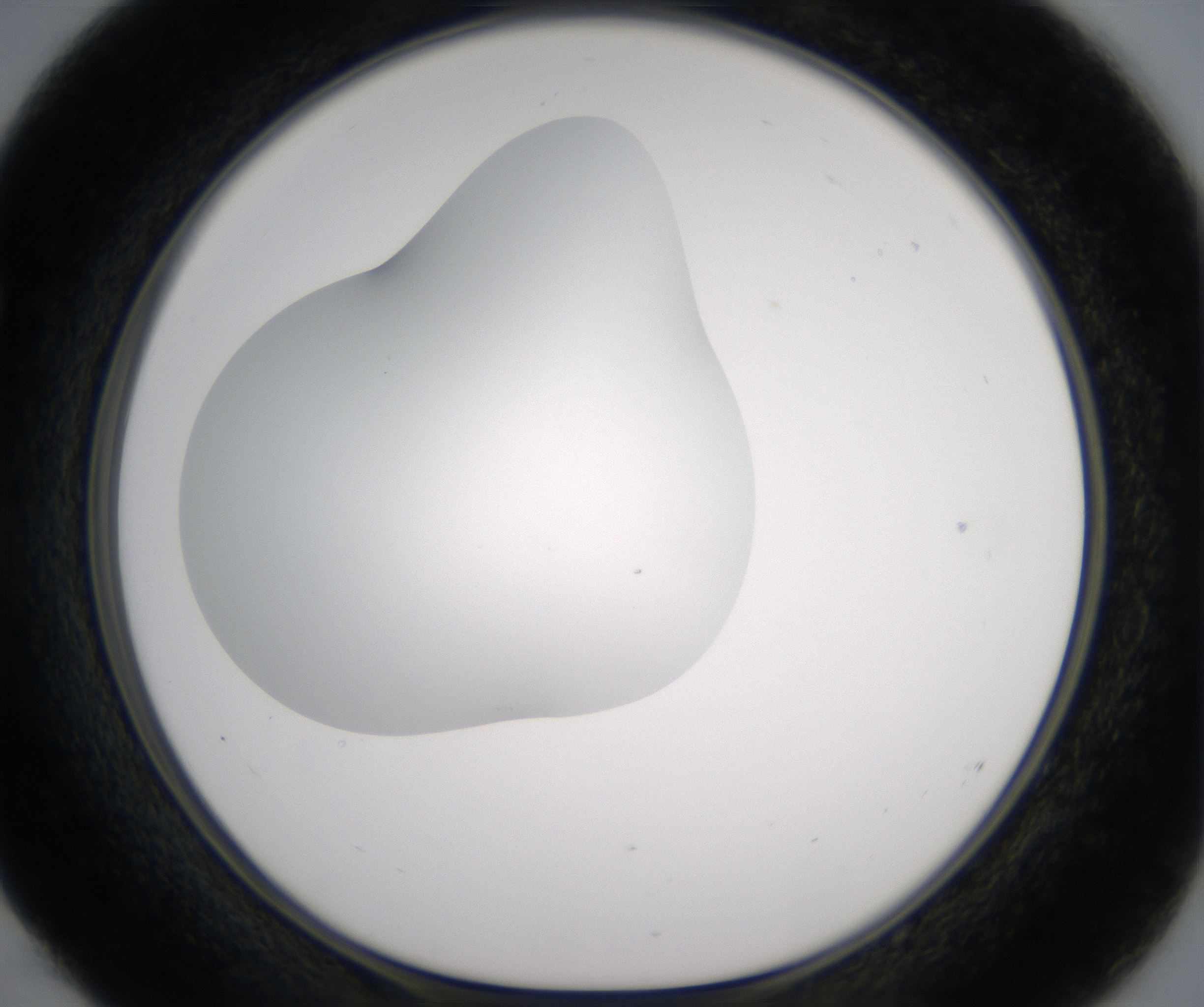 E4_HighResolution_Clear_1.jpg