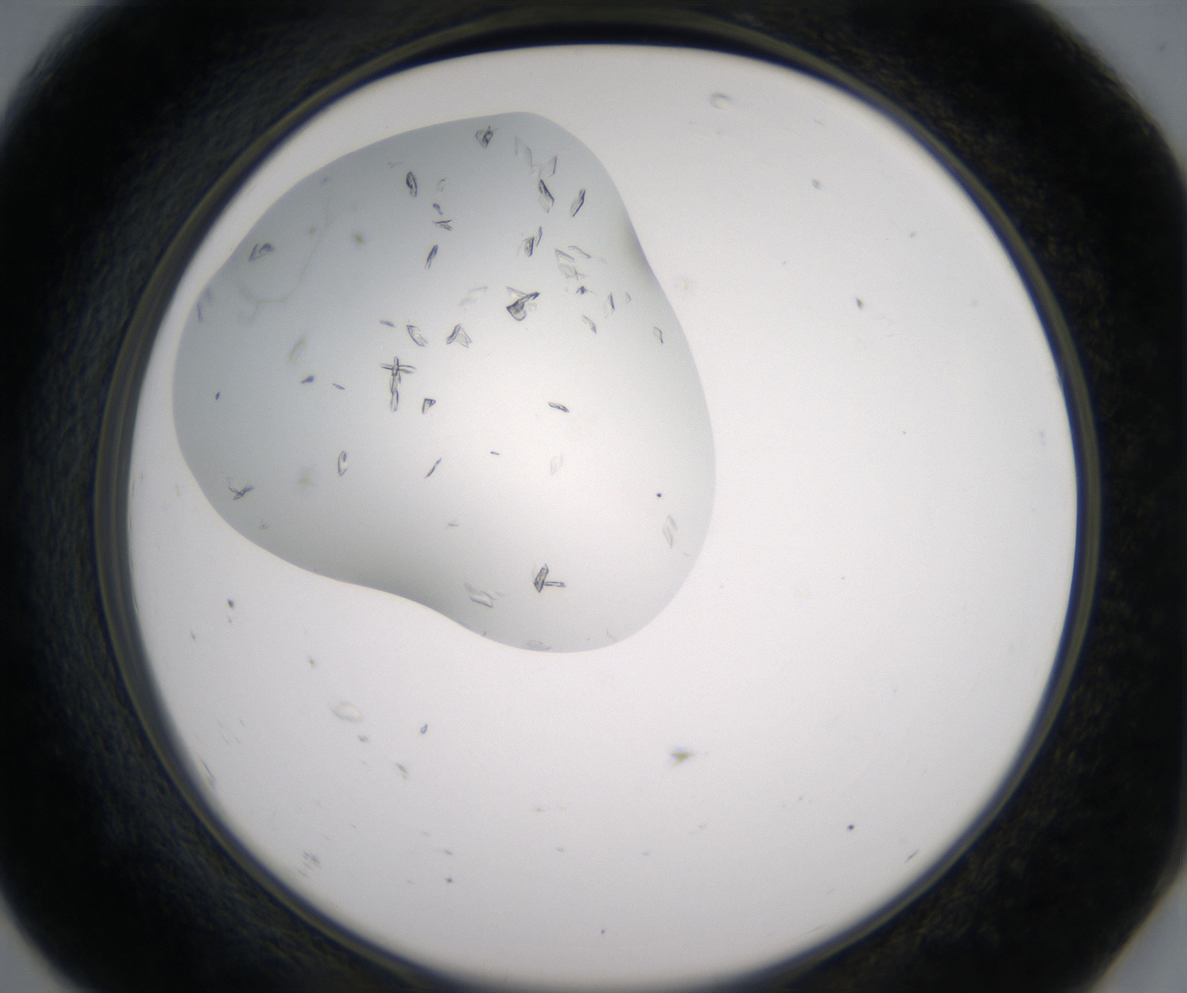 F7_HighResolution_Crystal_2.jpg