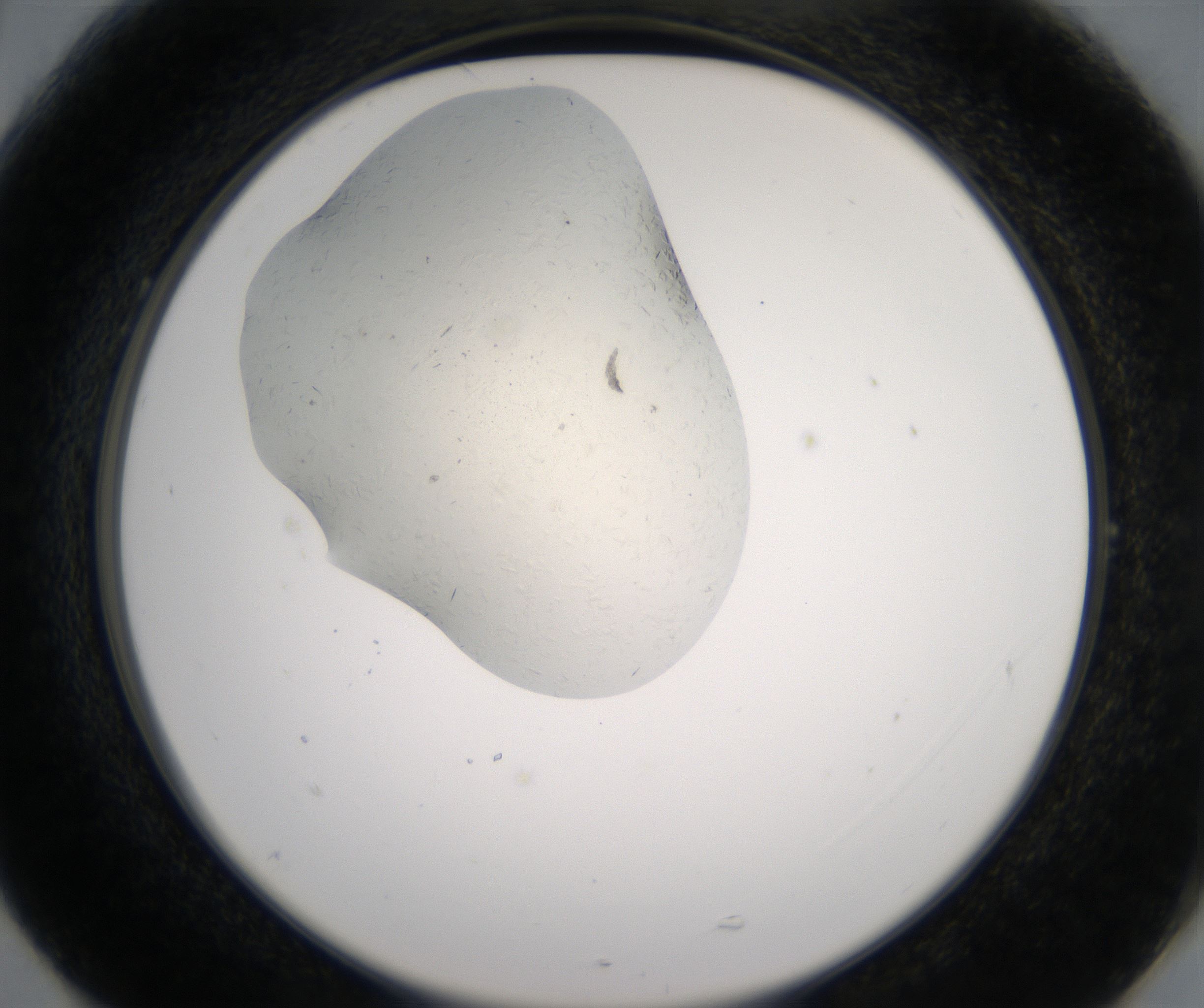 G5_HighResolution_Crystal_2.jpg