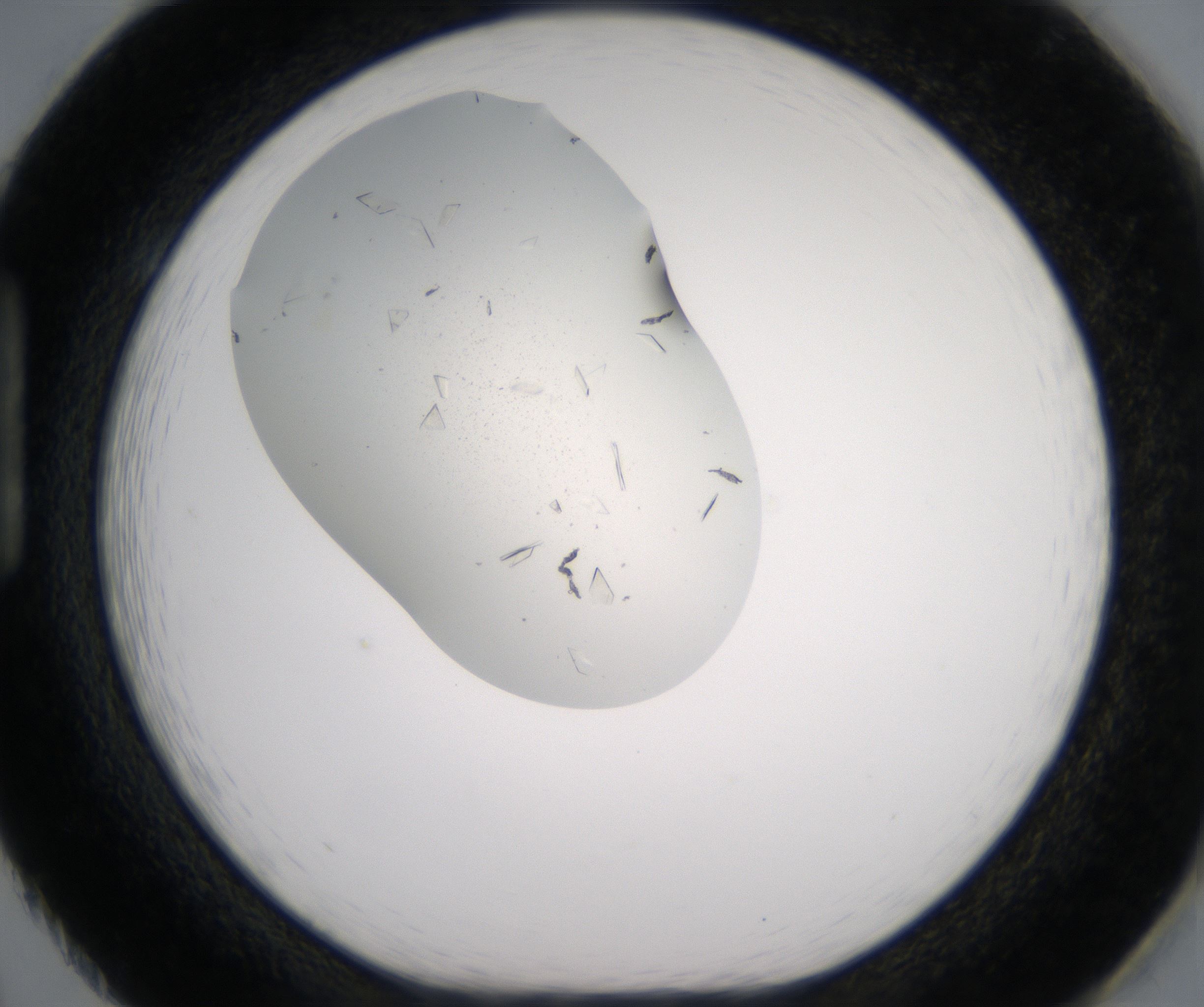 H2_HighResolution_Crystal_1.jpg