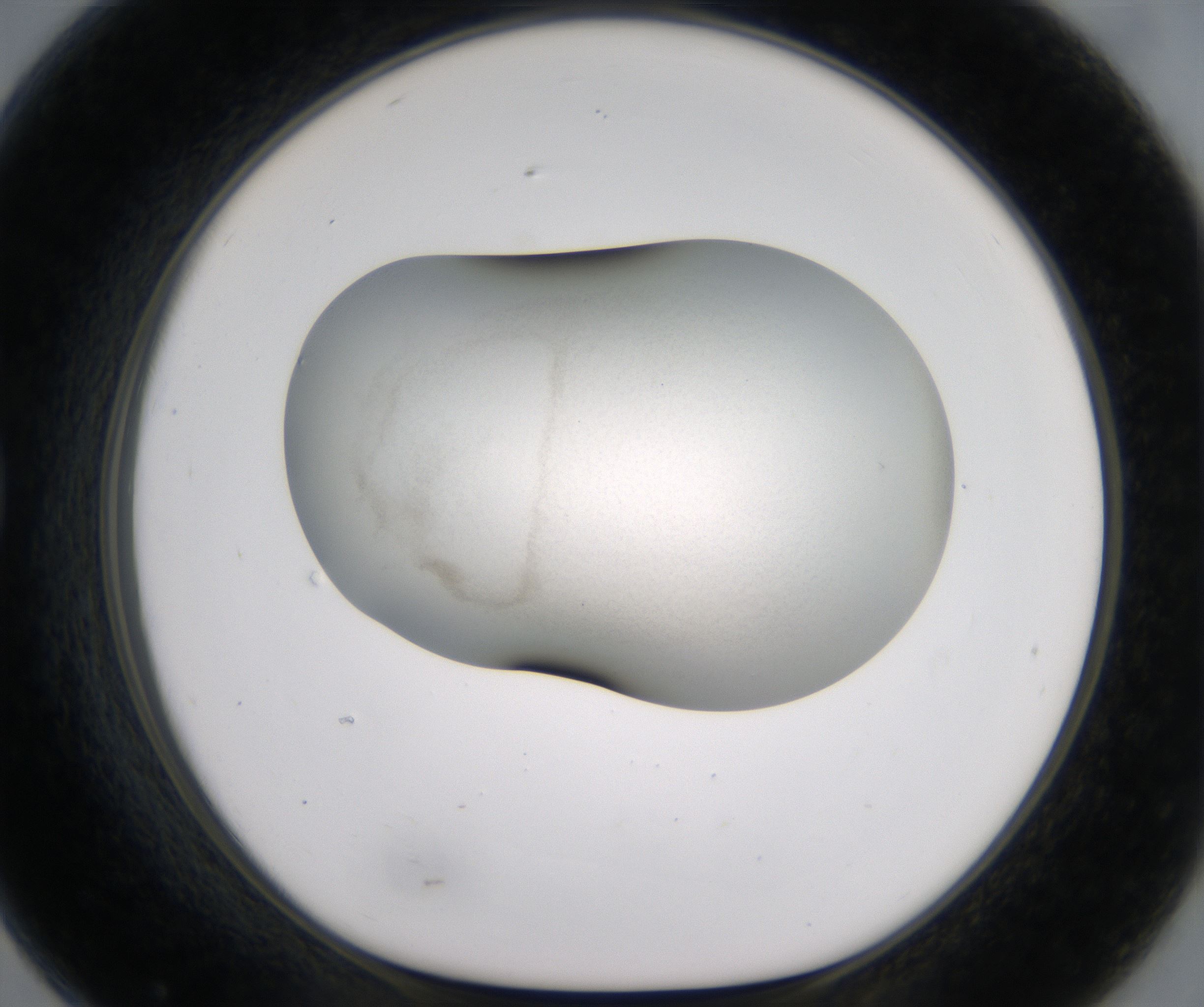 G7_HighResolution_Precipitate_1.jpg