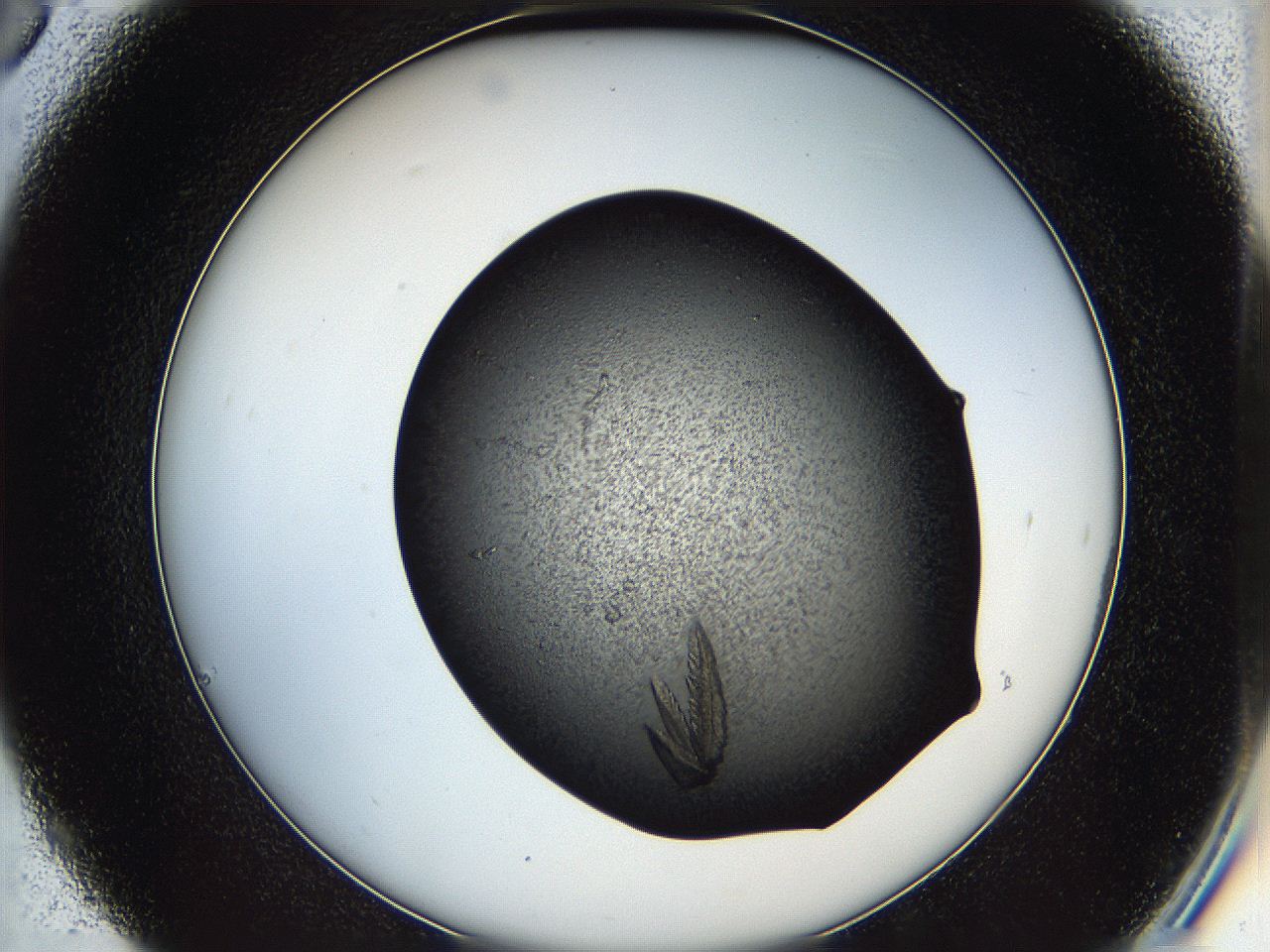 05is_C6_ImagerDefaults_9.jpg