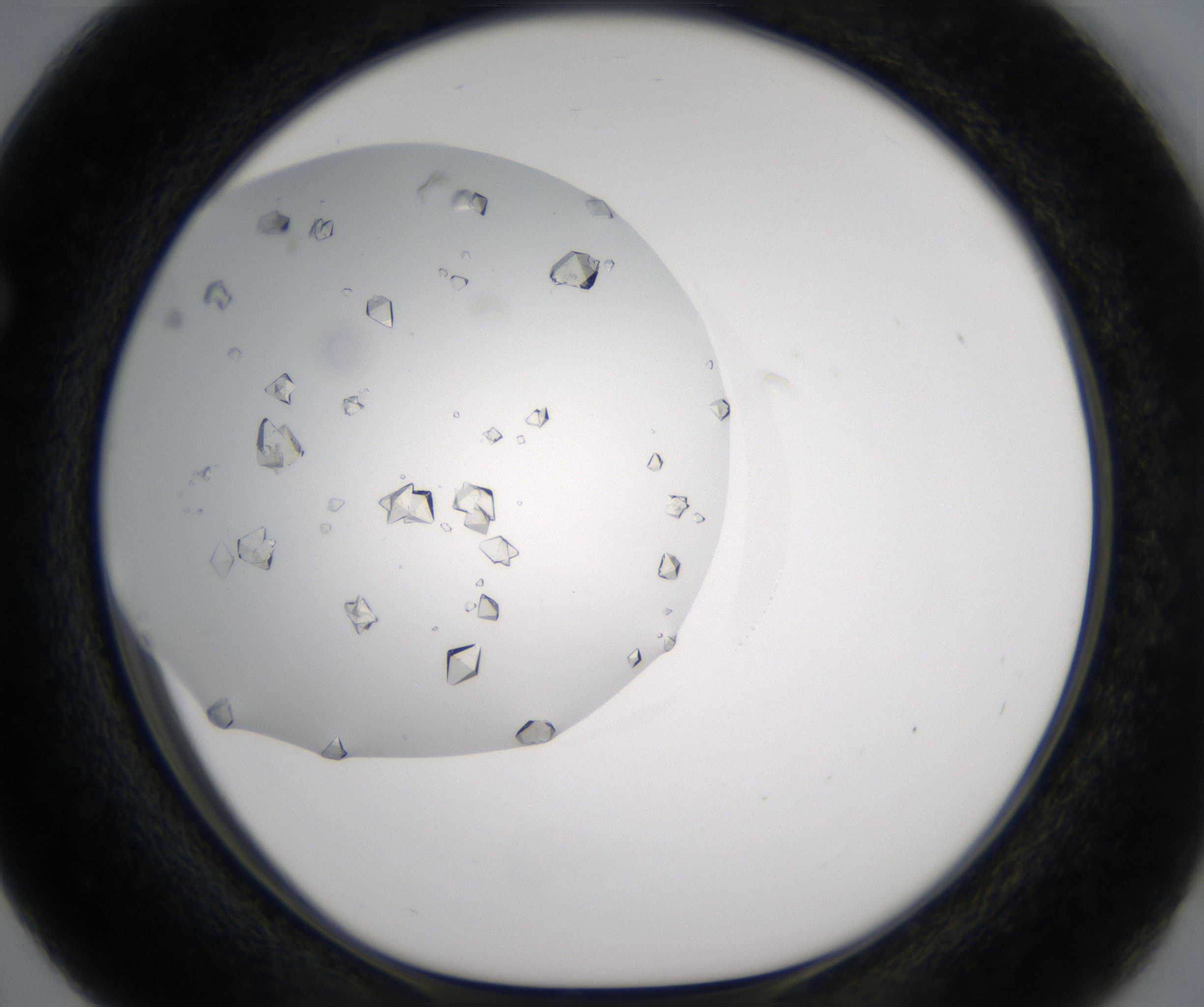 F3_HighResolution_Crystal_1.jpg