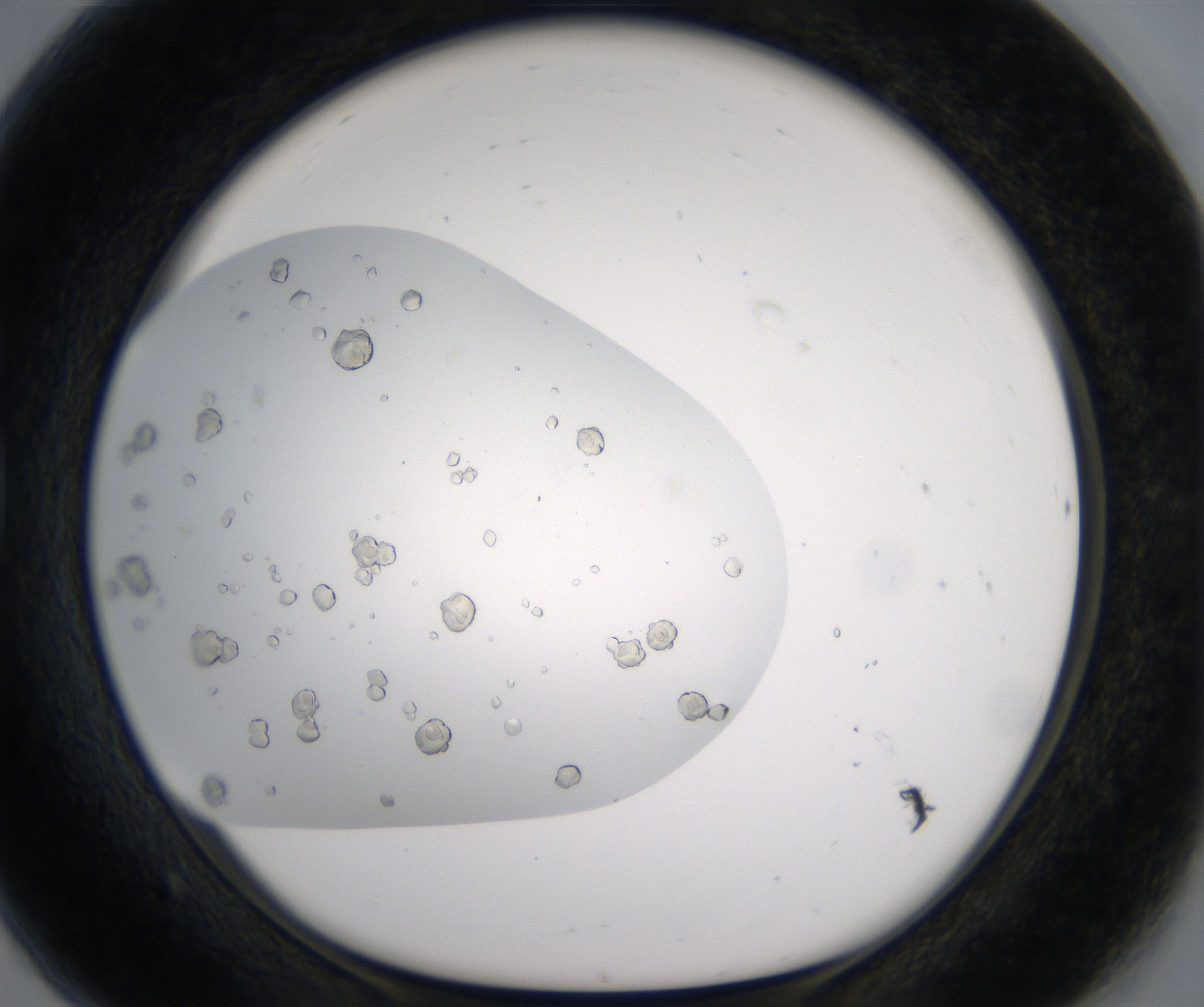 G8_HighResolution_Crystal_1.jpg