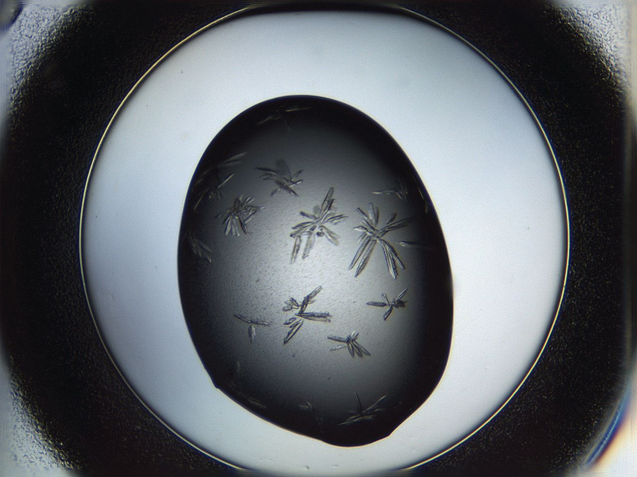05is_C8_ImagerDefaults_8.jpg