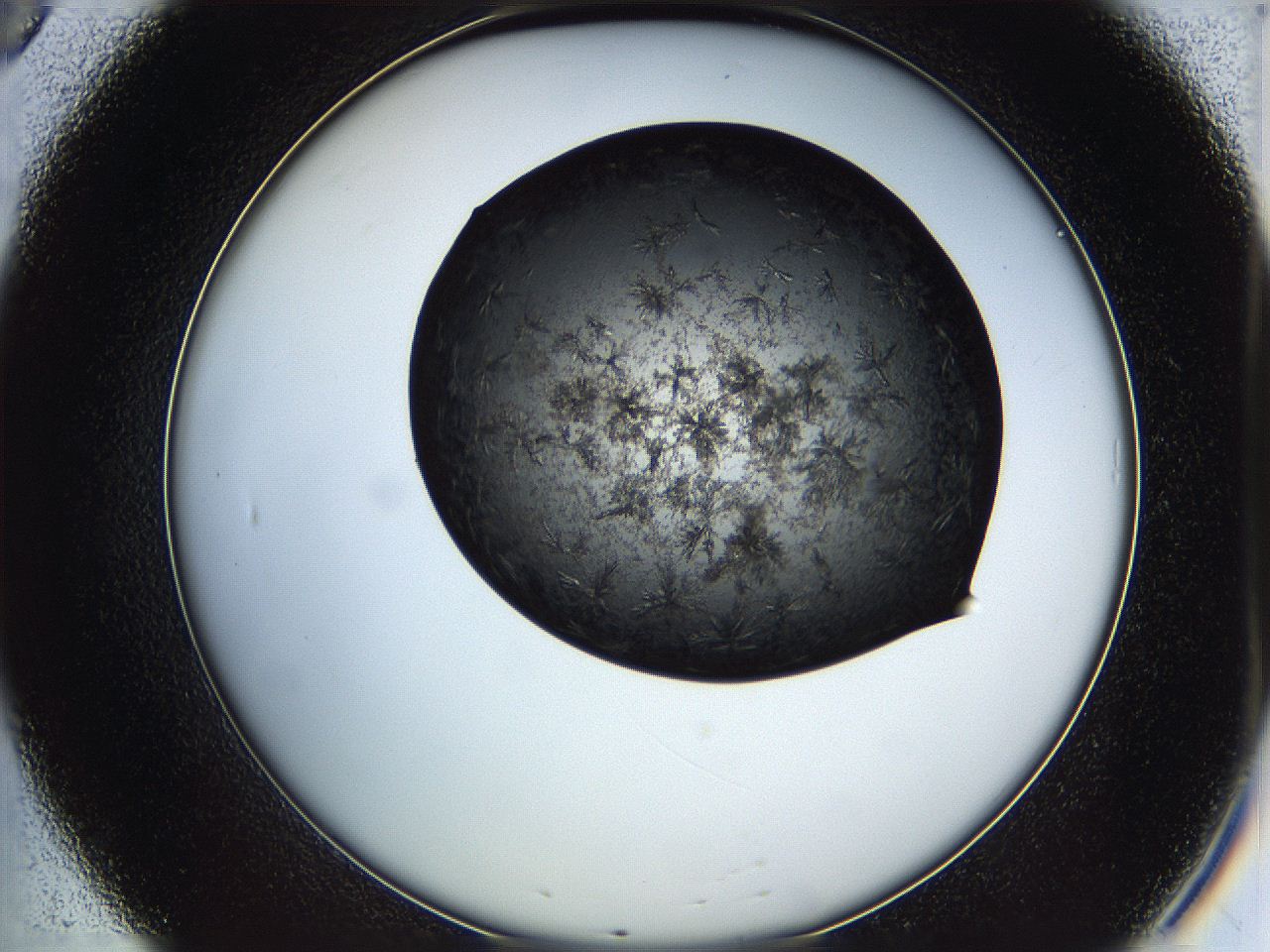 05is_B8_ImagerDefaults_6.jpg