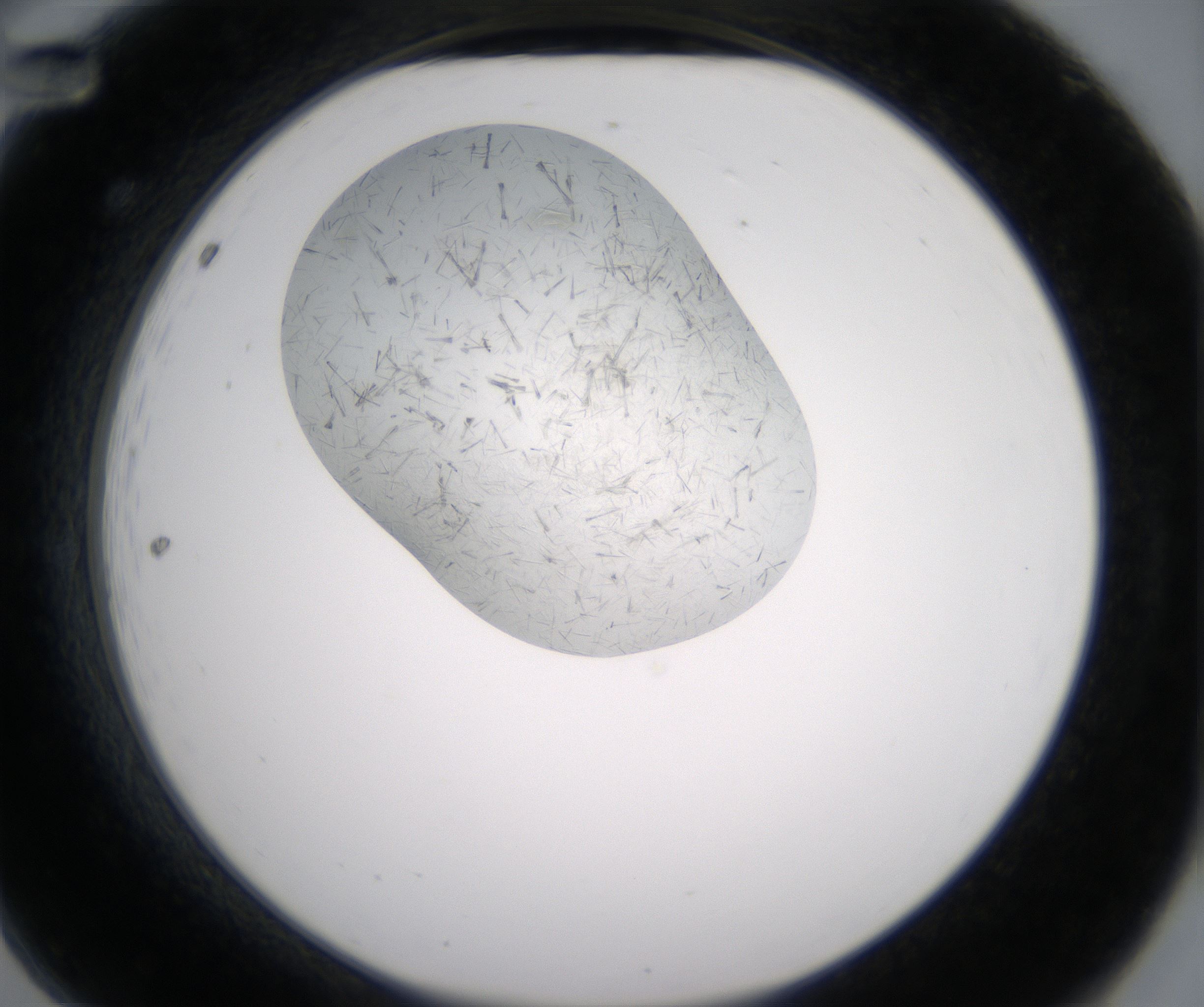 A12_HighResolution_Crystal_2.jpg