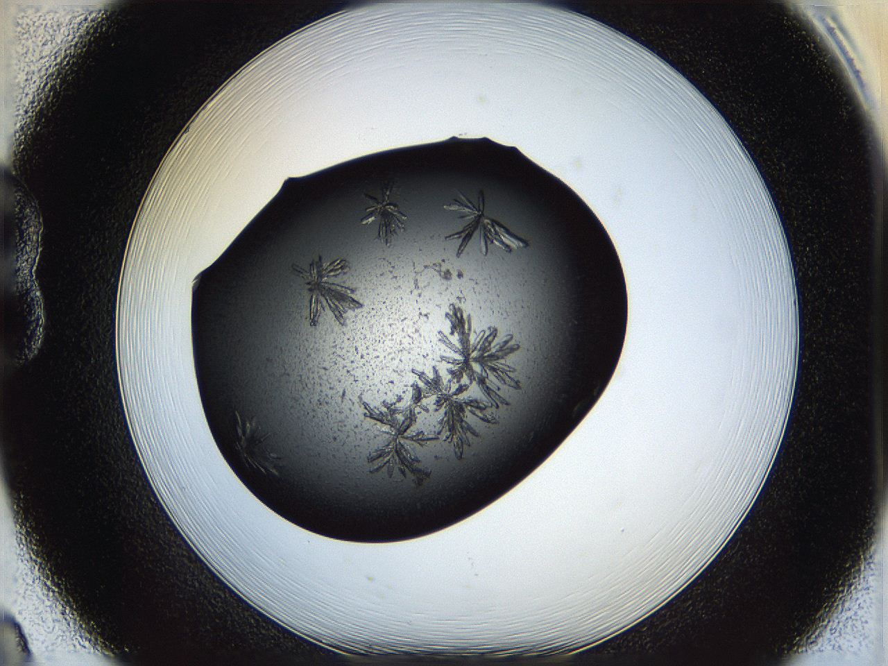 05is_B8_ImagerDefaults_7.jpg