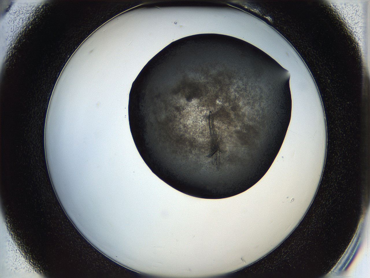 05is_B6_ImagerDefaults_7.jpg