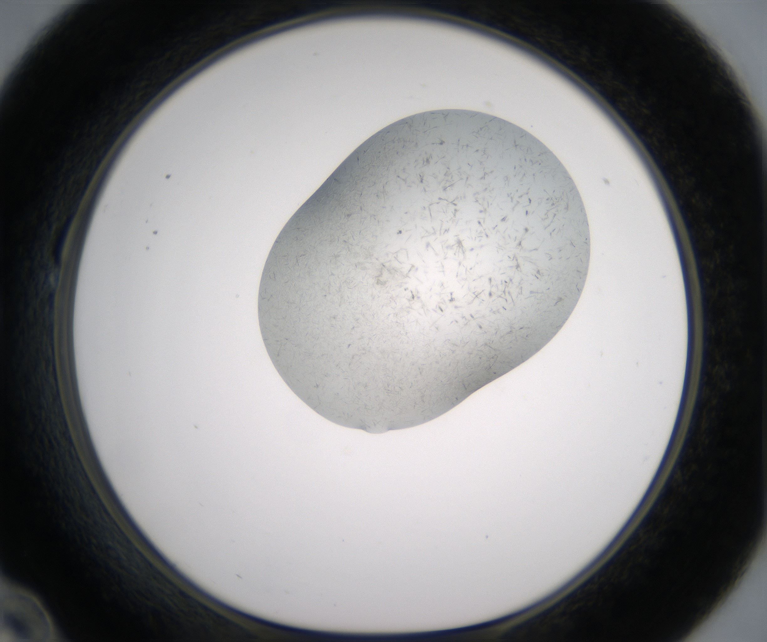 B10_HighResolution_Crystal_1.jpg