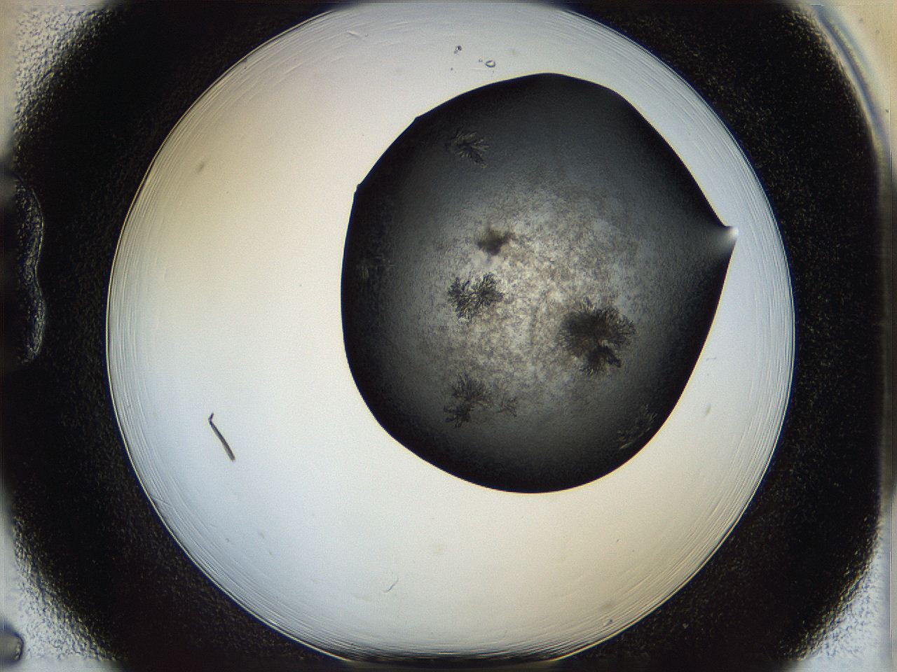 05is_B6_ImagerDefaults_6.jpg