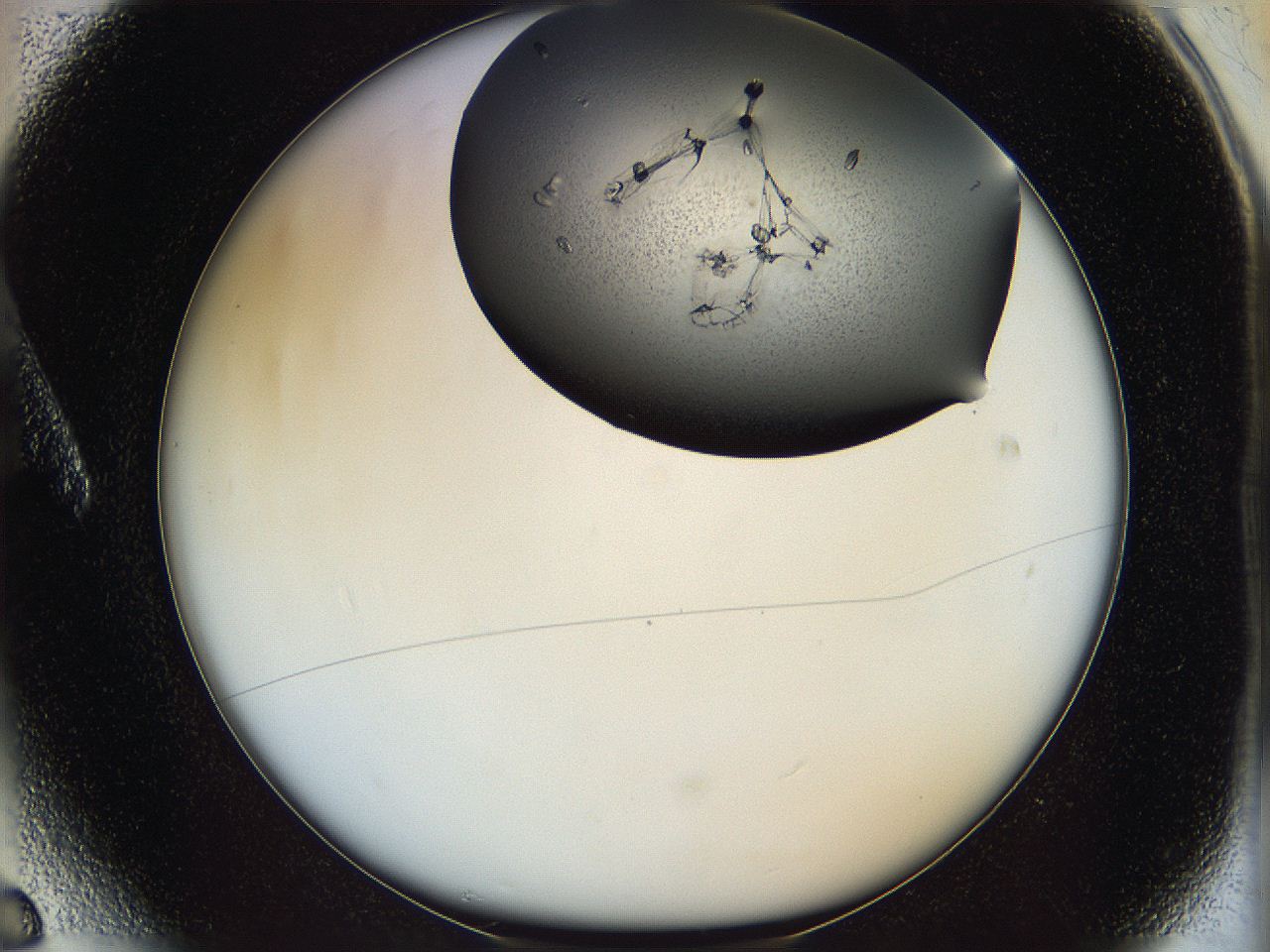 05is_A6_ImagerDefaults_7.jpg