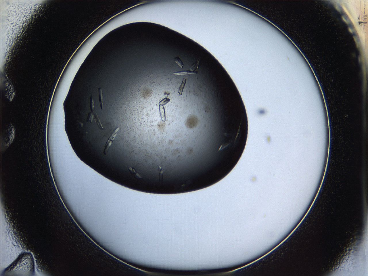 05is_C11_ImagerDefaults_9.jpg