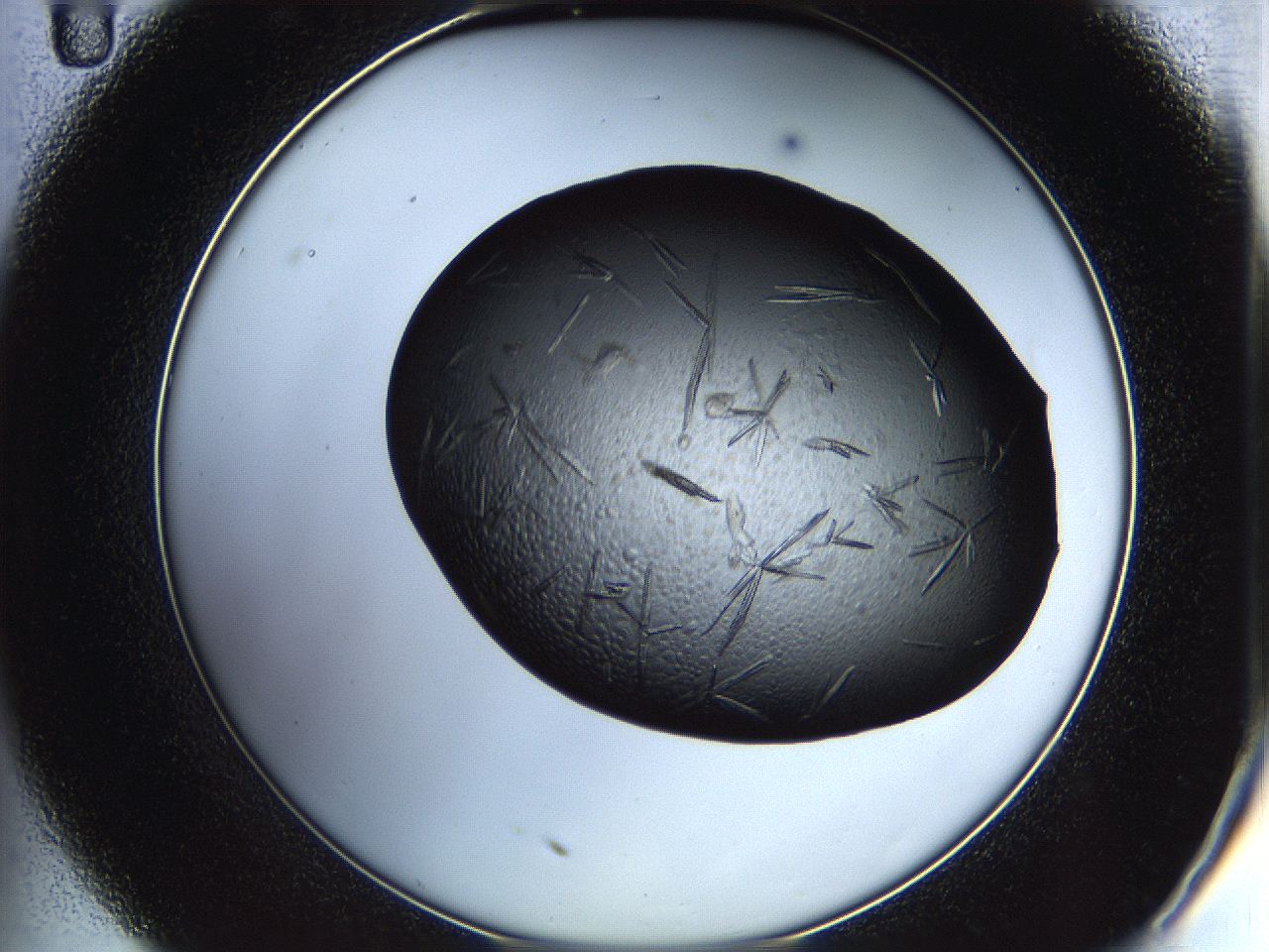 05is_C11_ImagerDefaults_8.jpg