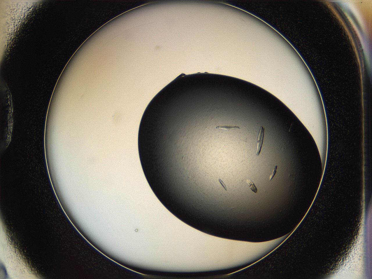 05is_D2_ImagerDefaults_8.jpg