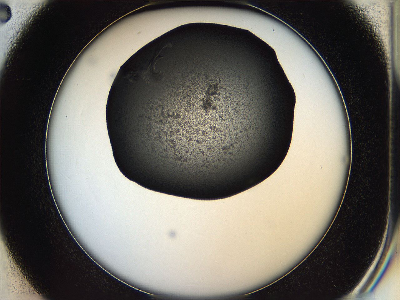 05is_C2_ImagerDefaults_7.jpg