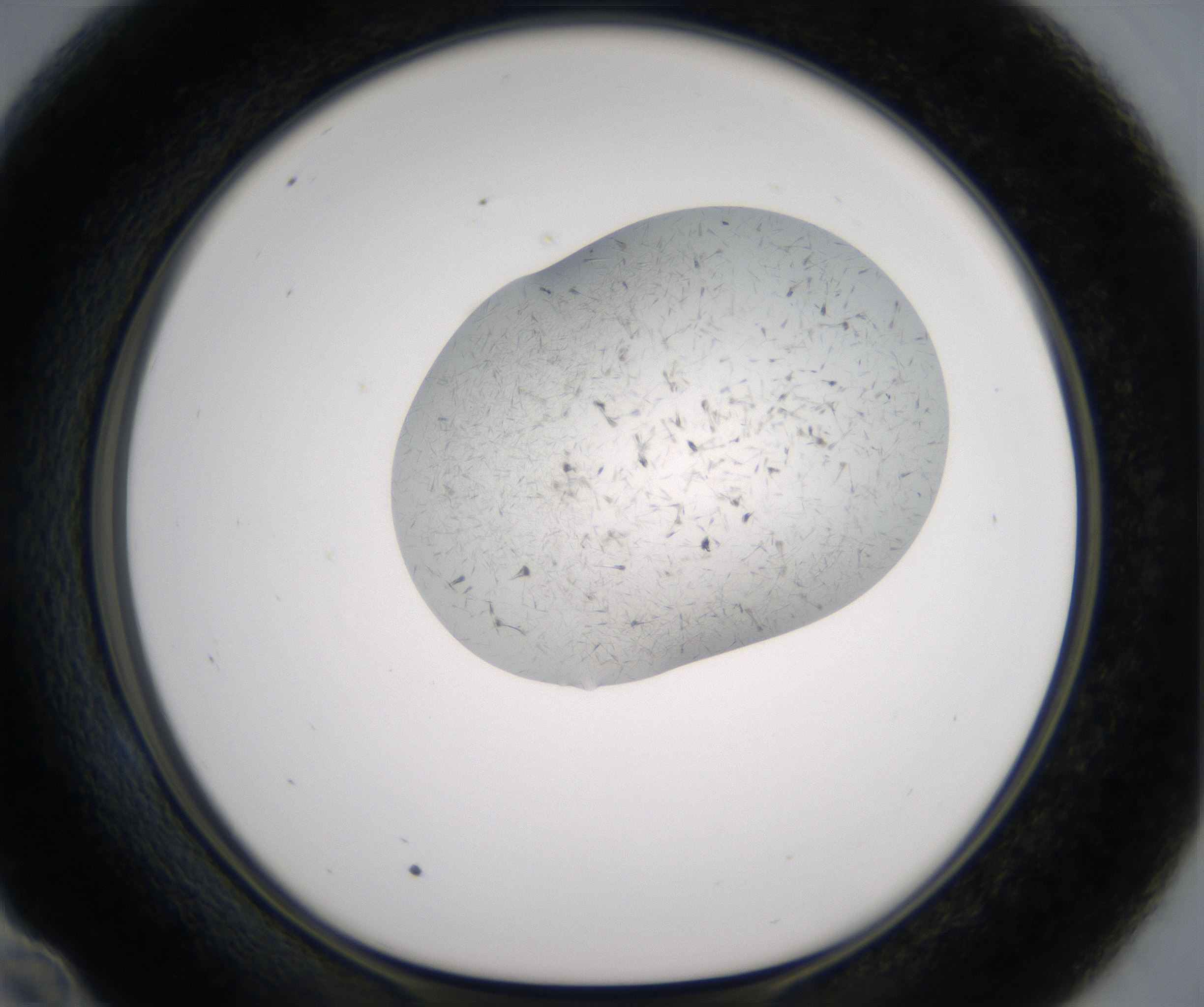 E10_HighResolution_Crystal_1.jpg