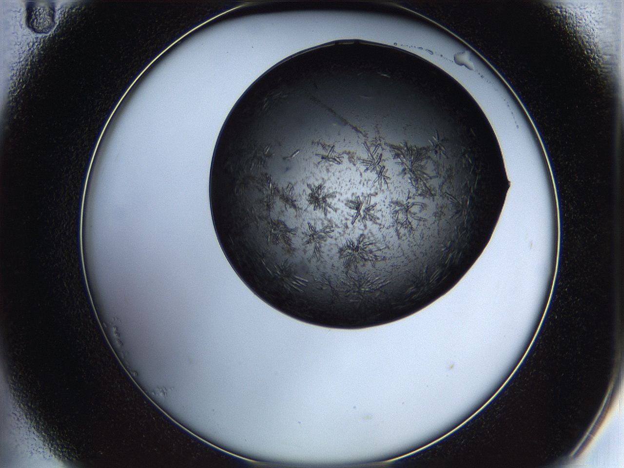 05is_B11_ImagerDefaults_6.jpg