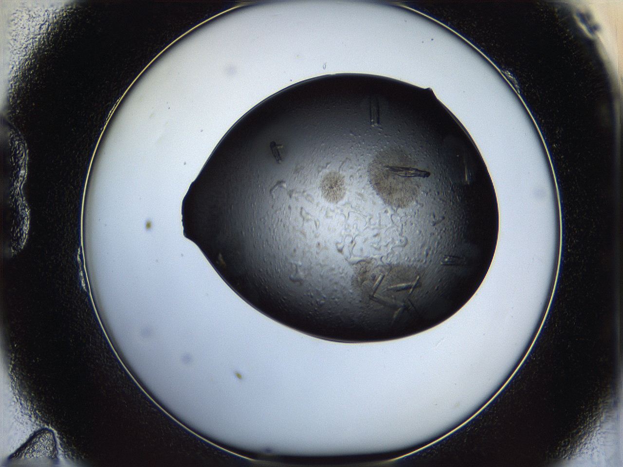 05is_B11_ImagerDefaults_8.jpg