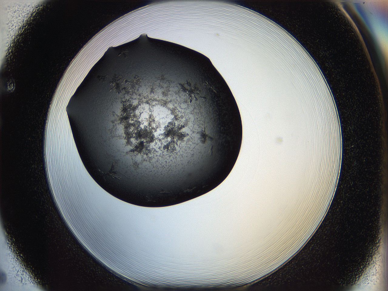 05is_F5_ImagerDefaults_6.jpg