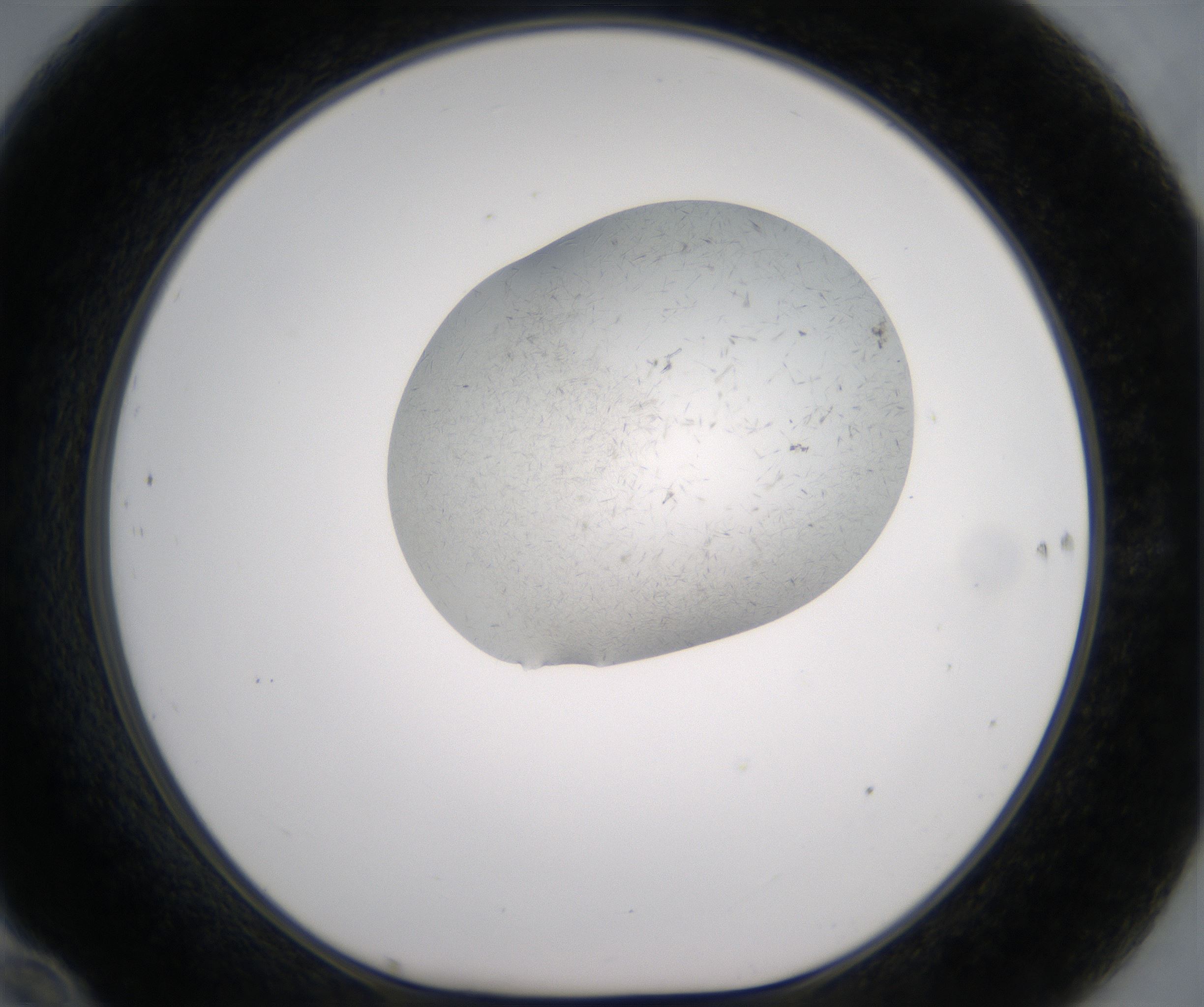 F10_HighResolution_Crystal_1.jpg