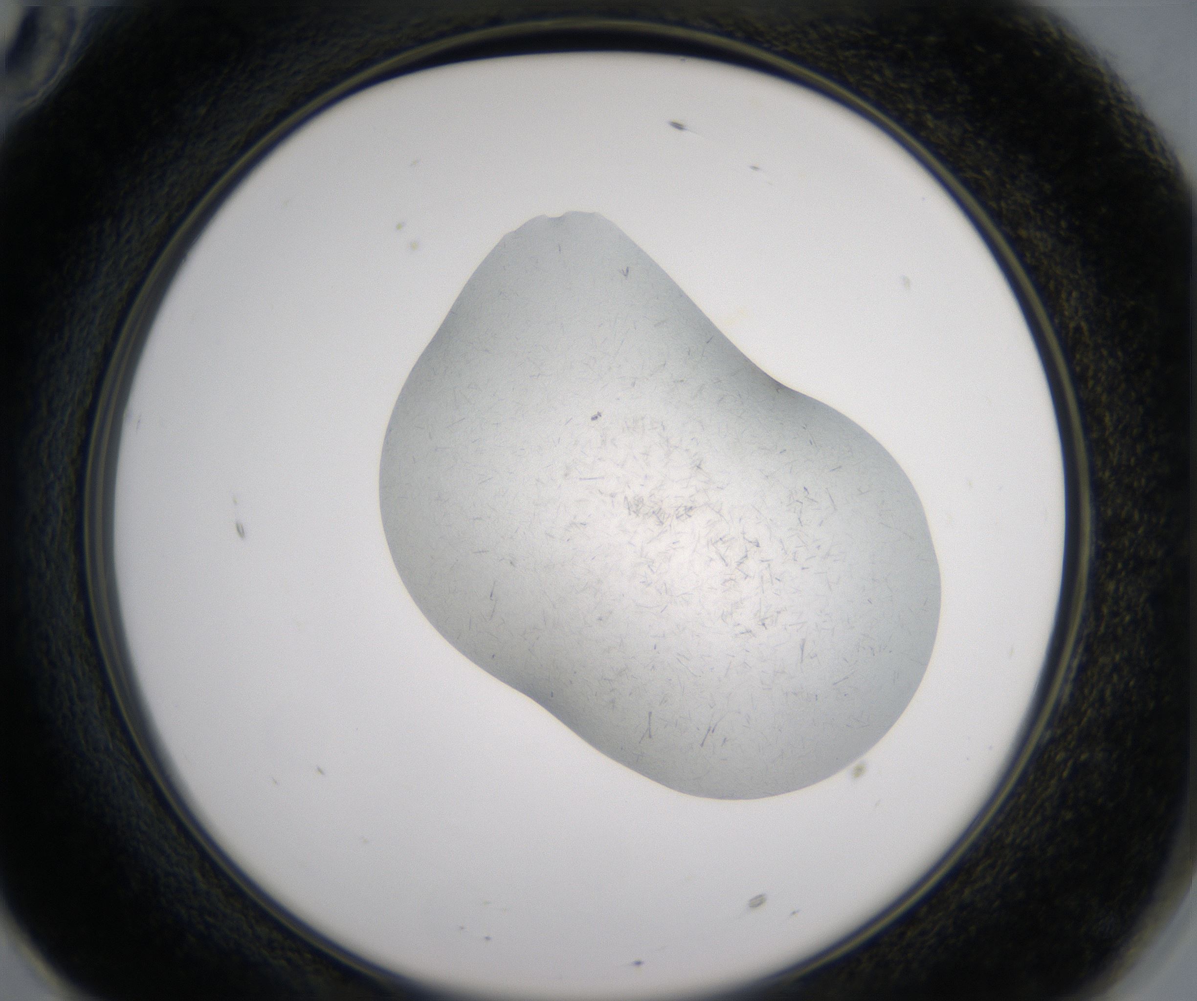 F10_HighResolution_Crystal_2.jpg