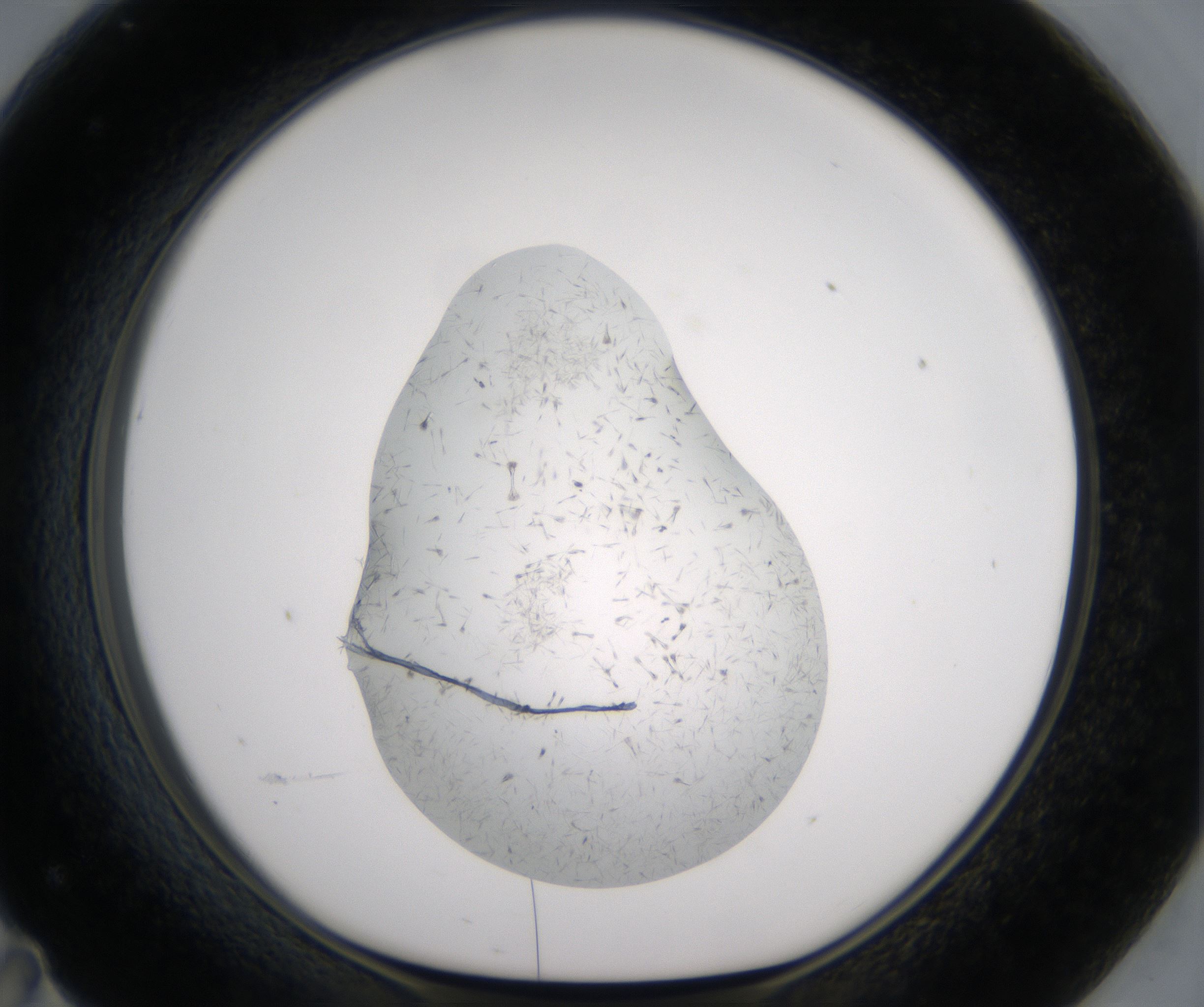 F11_HighResolution_Crystal_1.jpg